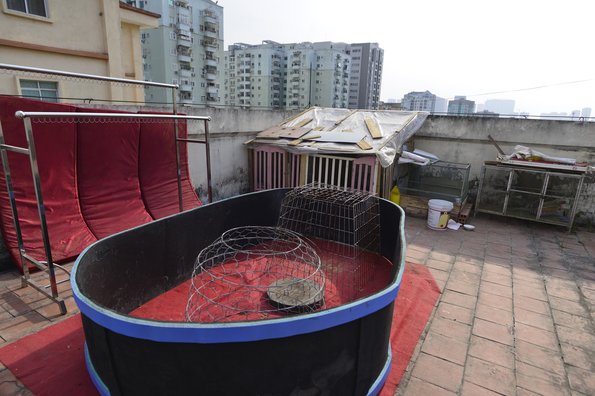 toa nha tai dinh cu tro thanh noi nuoi ga anh 2