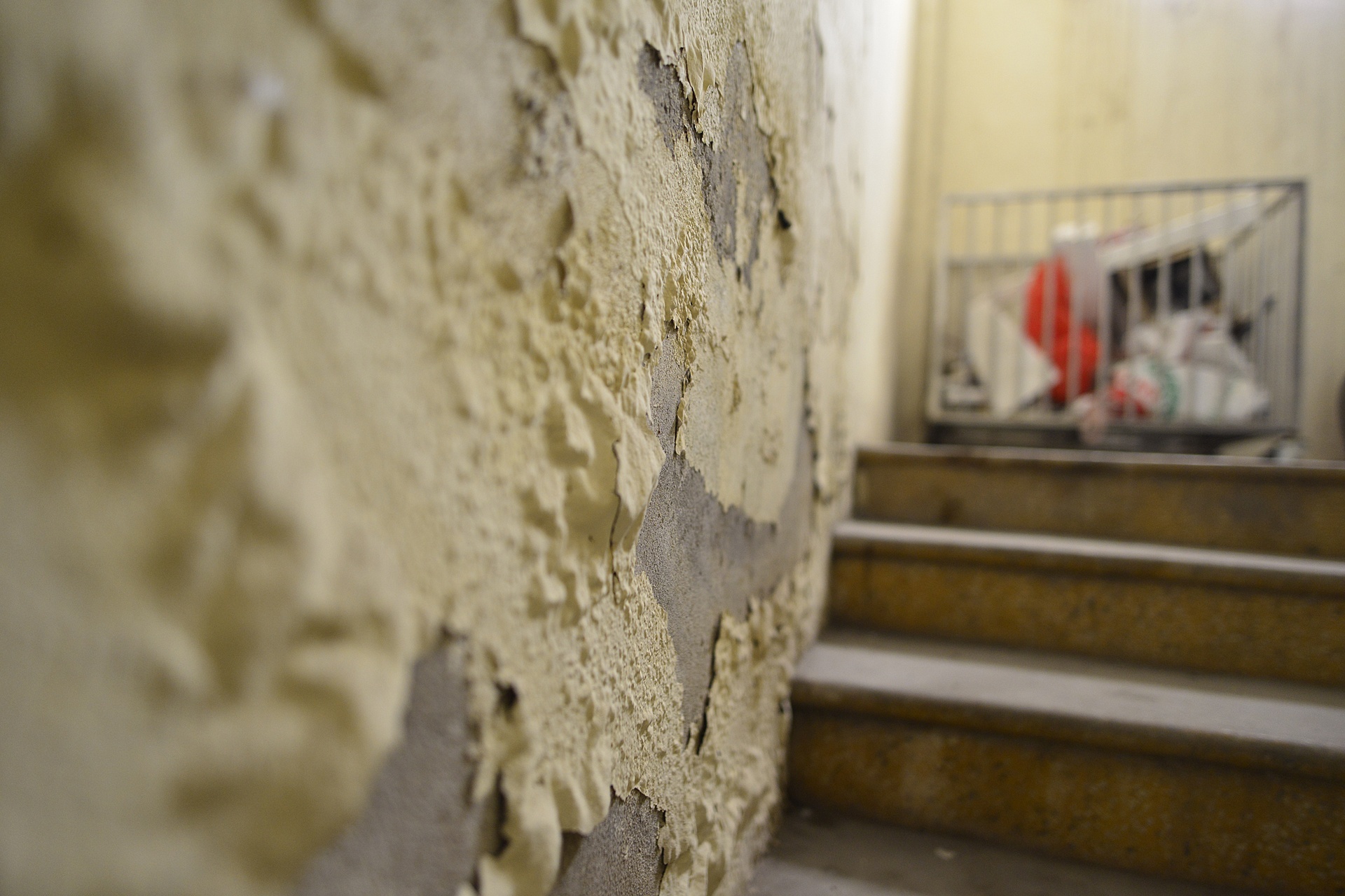 toa nha tai dinh cu tro thanh noi nuoi ga anh 6