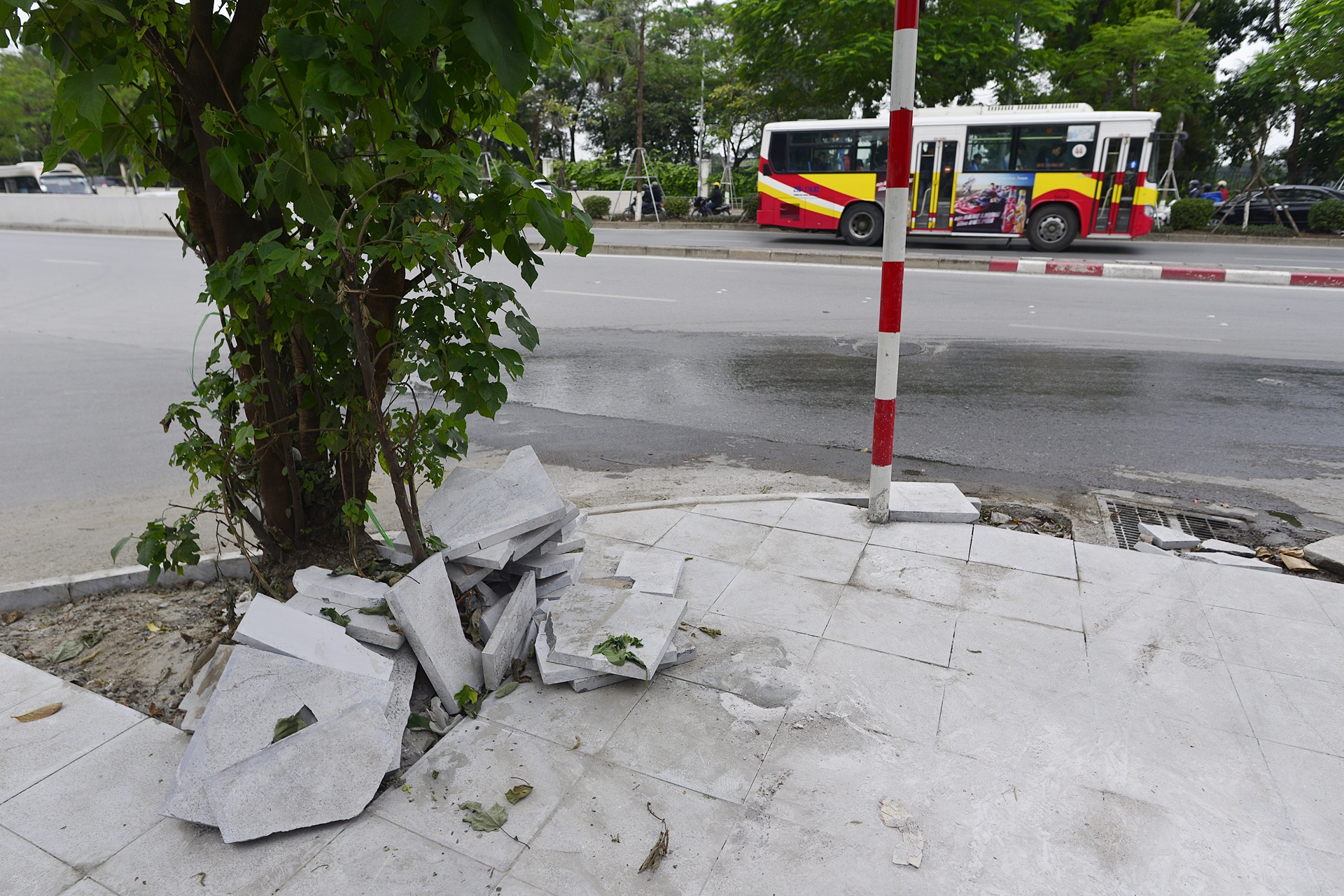 da via he bi hu hong nang anh 13