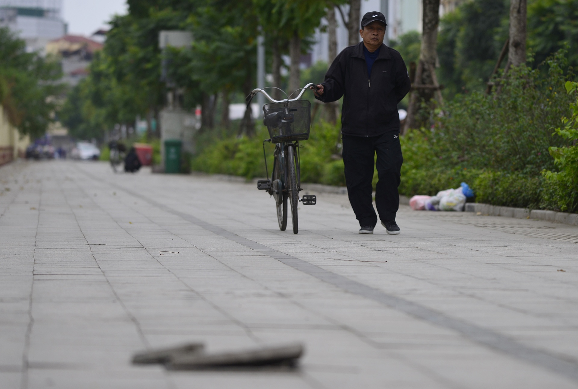 da via he bi hu hong nang anh 4