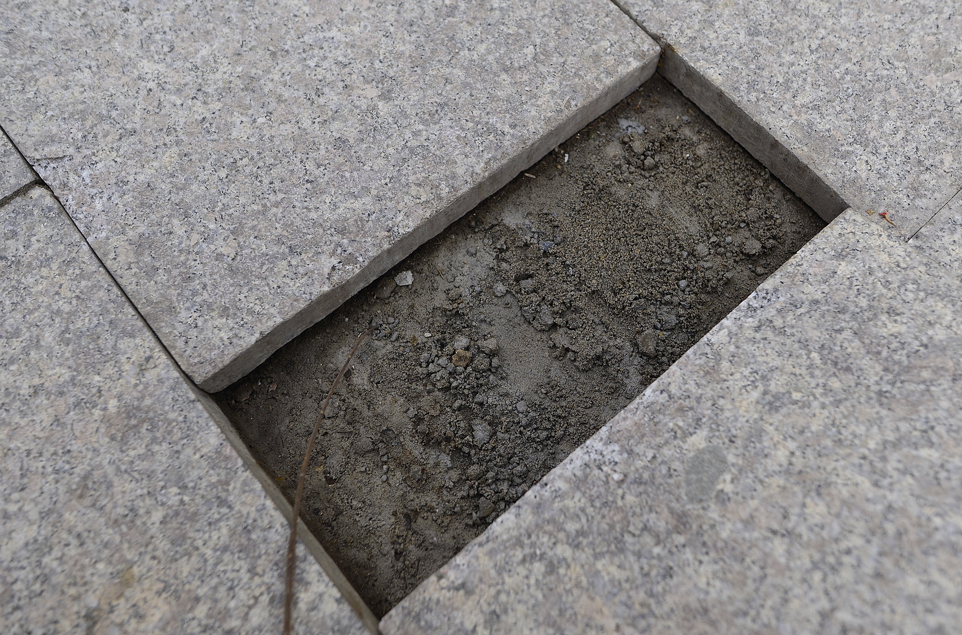 da via he bi hu hong nang anh 5