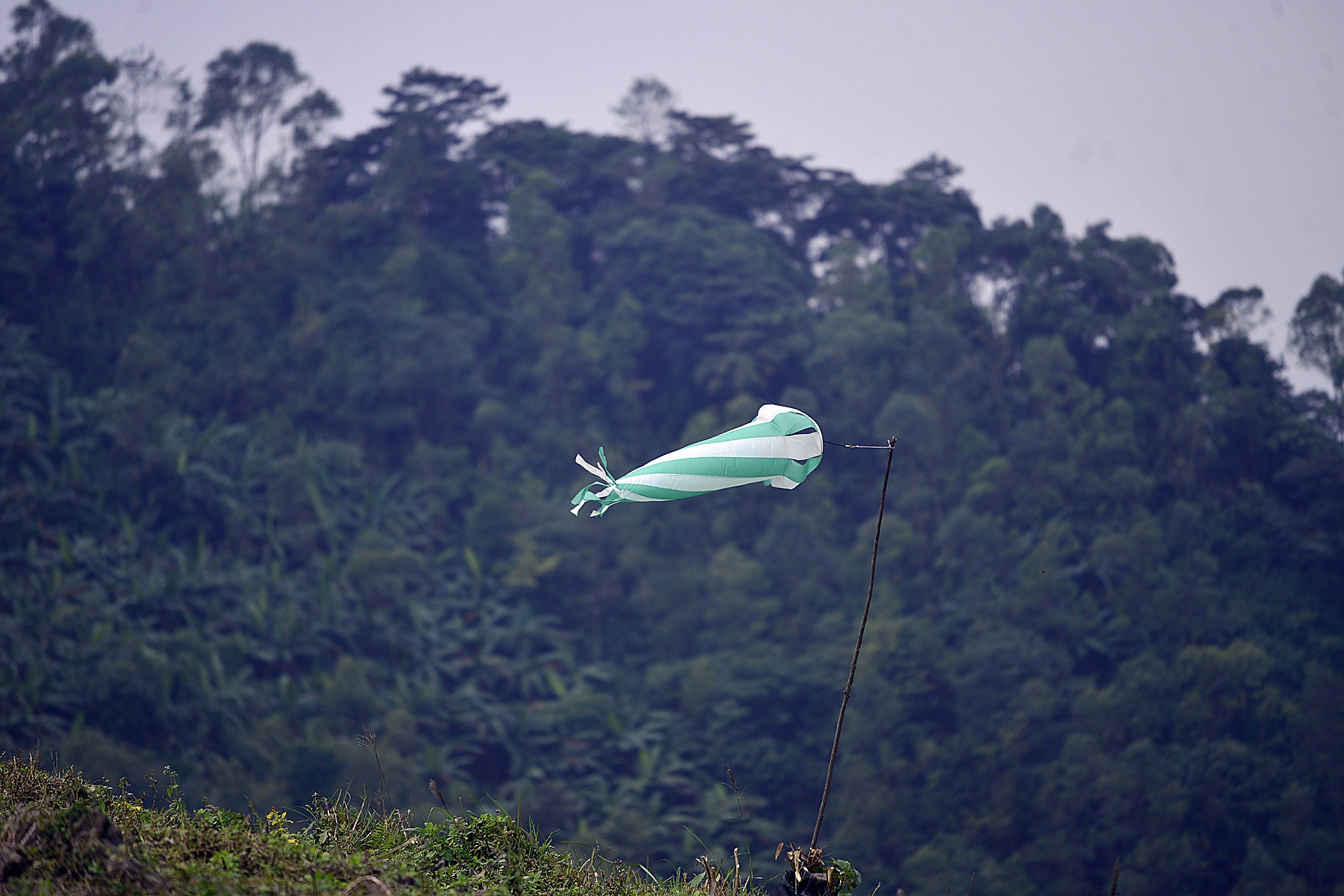 Giai du luon Viet Nam mo rong anh 13