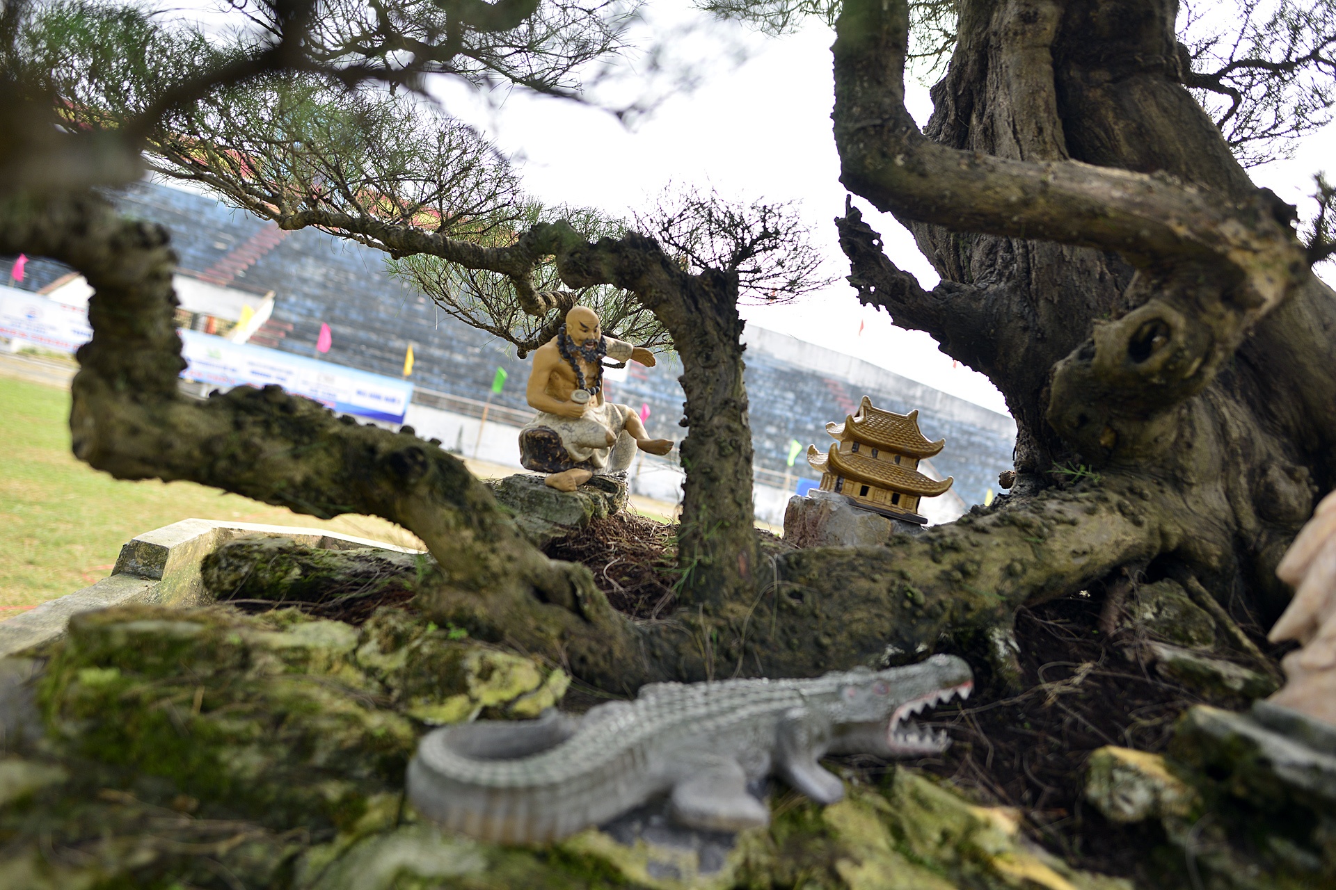 cay canh gia khung tai le hoi sinh vat canh anh 11