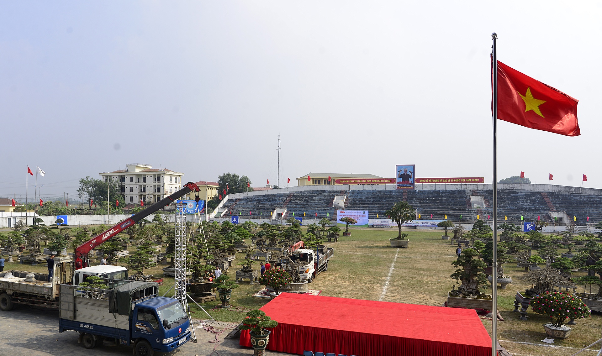 cay canh gia khung tai le hoi sinh vat canh anh 1