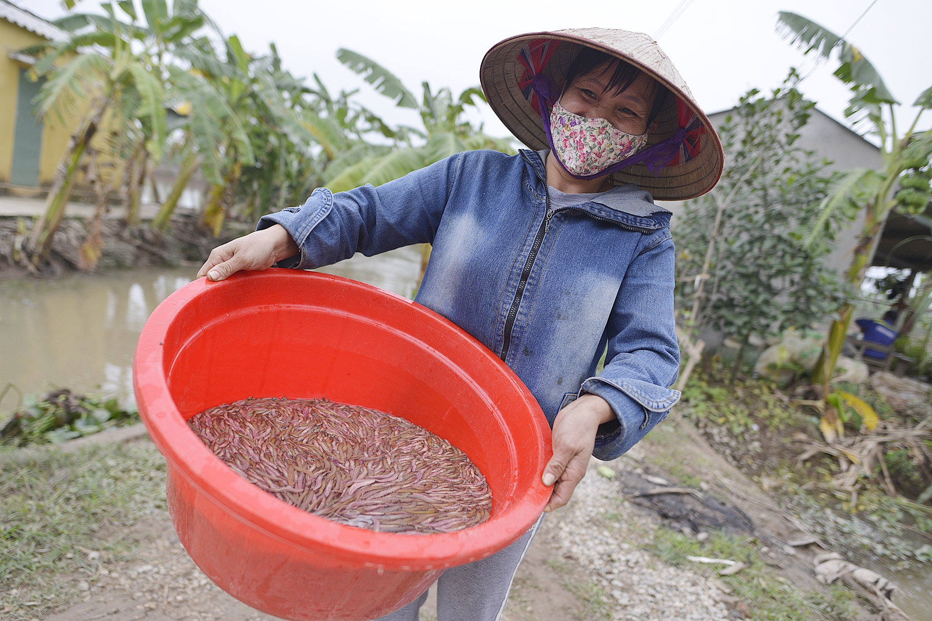ruoi Tu Ky Hai Duong anh 10