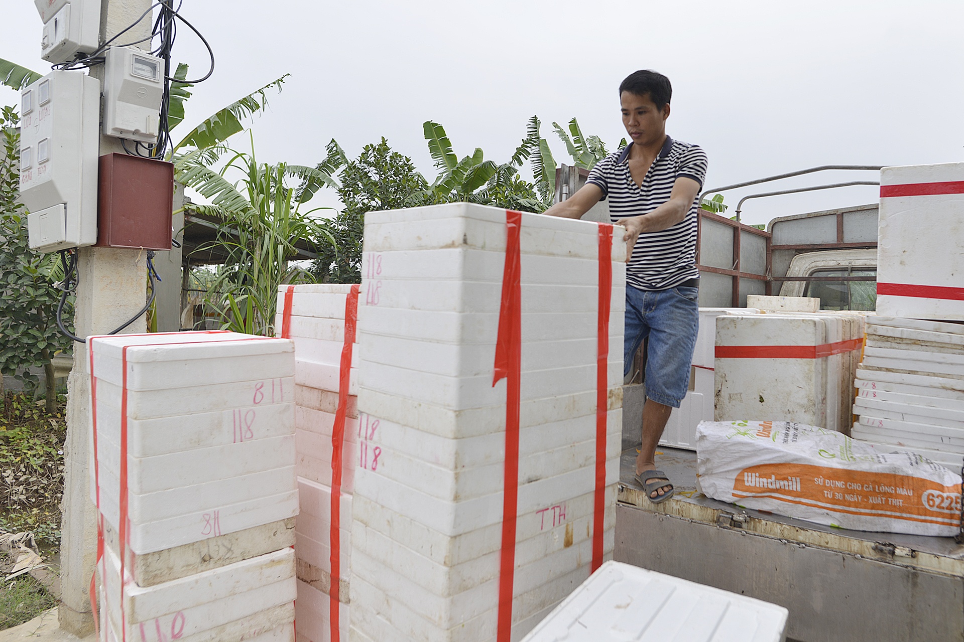 ruoi Tu Ky Hai Duong anh 12