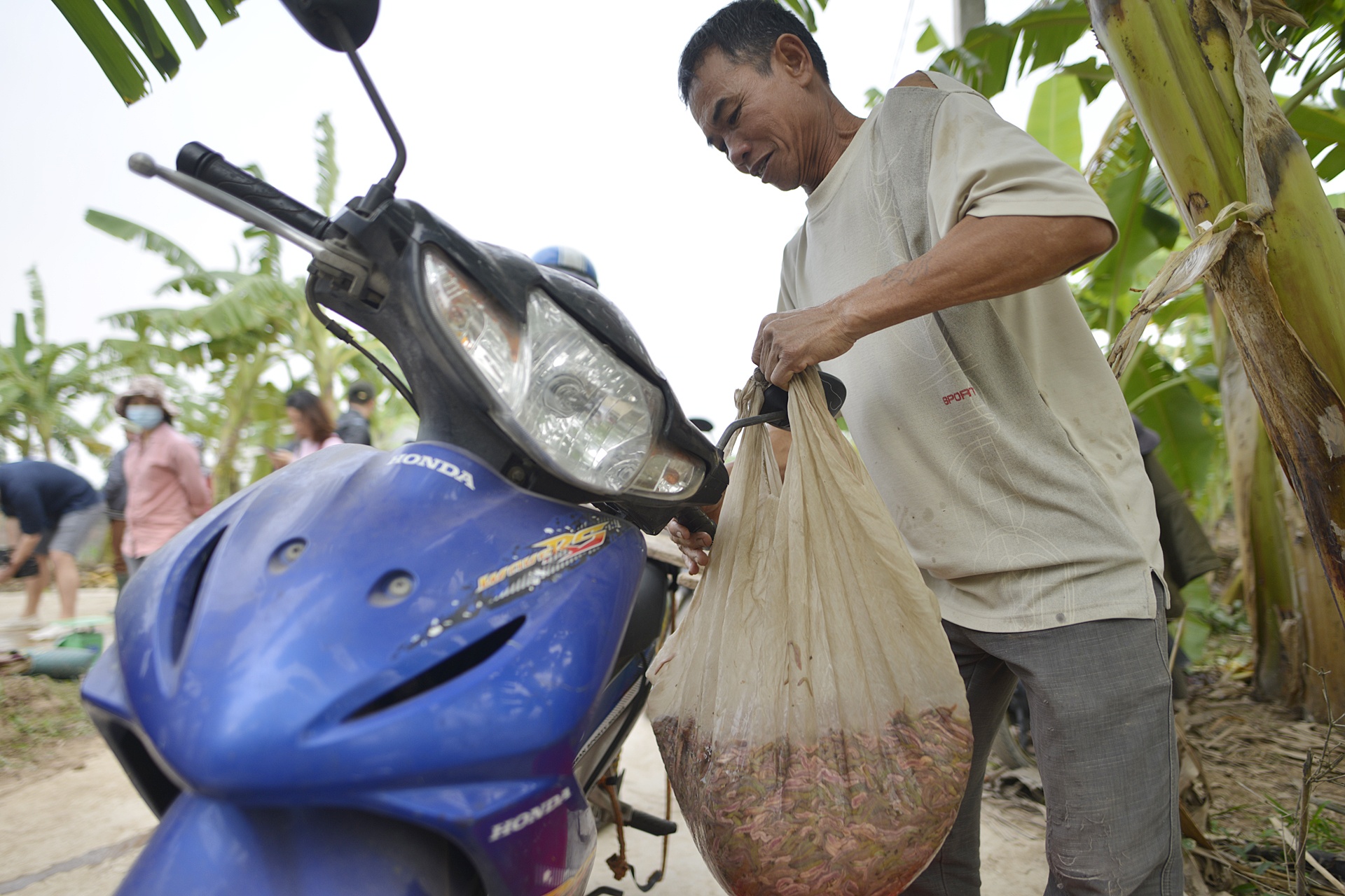 ruoi Tu Ky Hai Duong anh 14