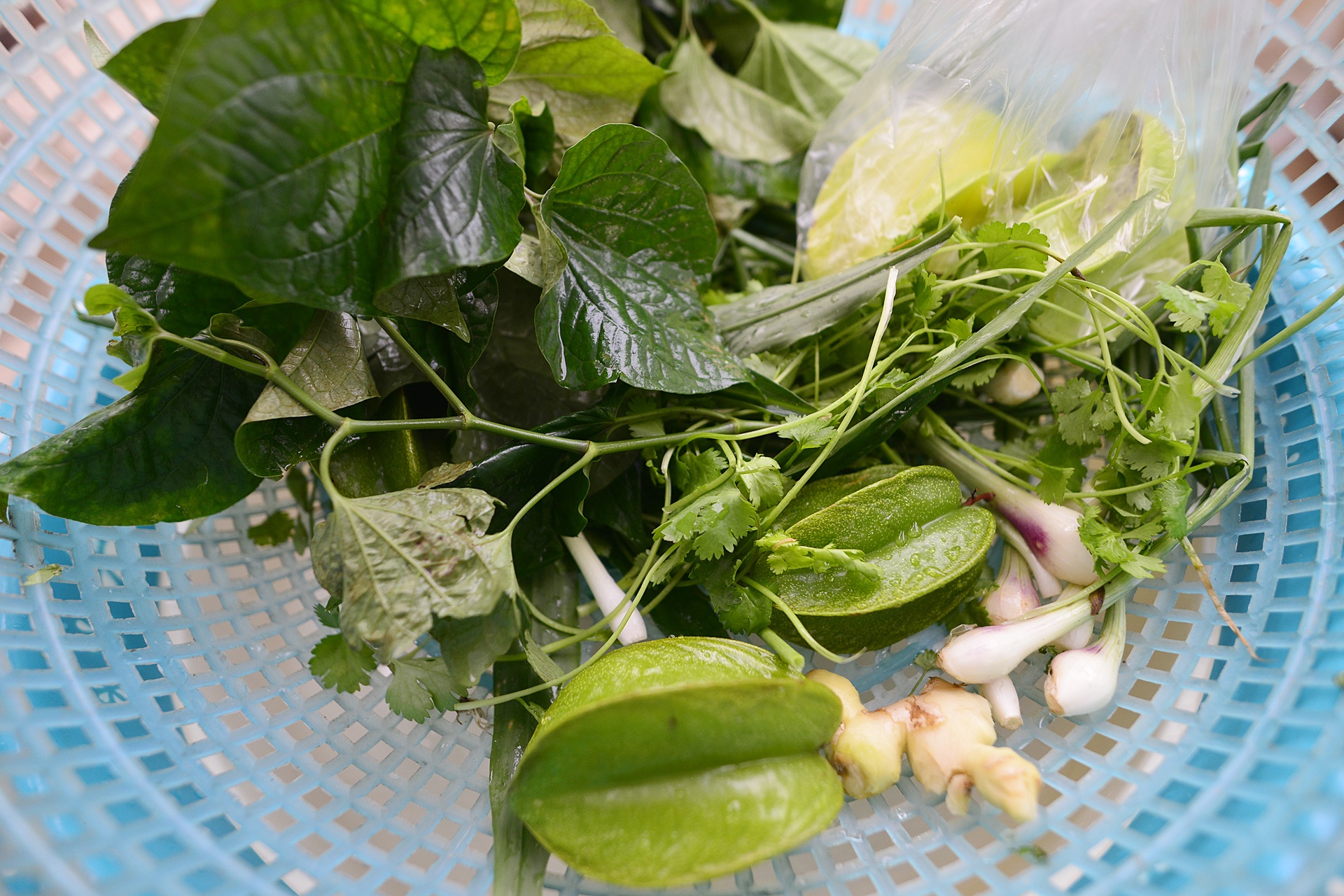 ruoi Tu Ky Hai Duong anh 15