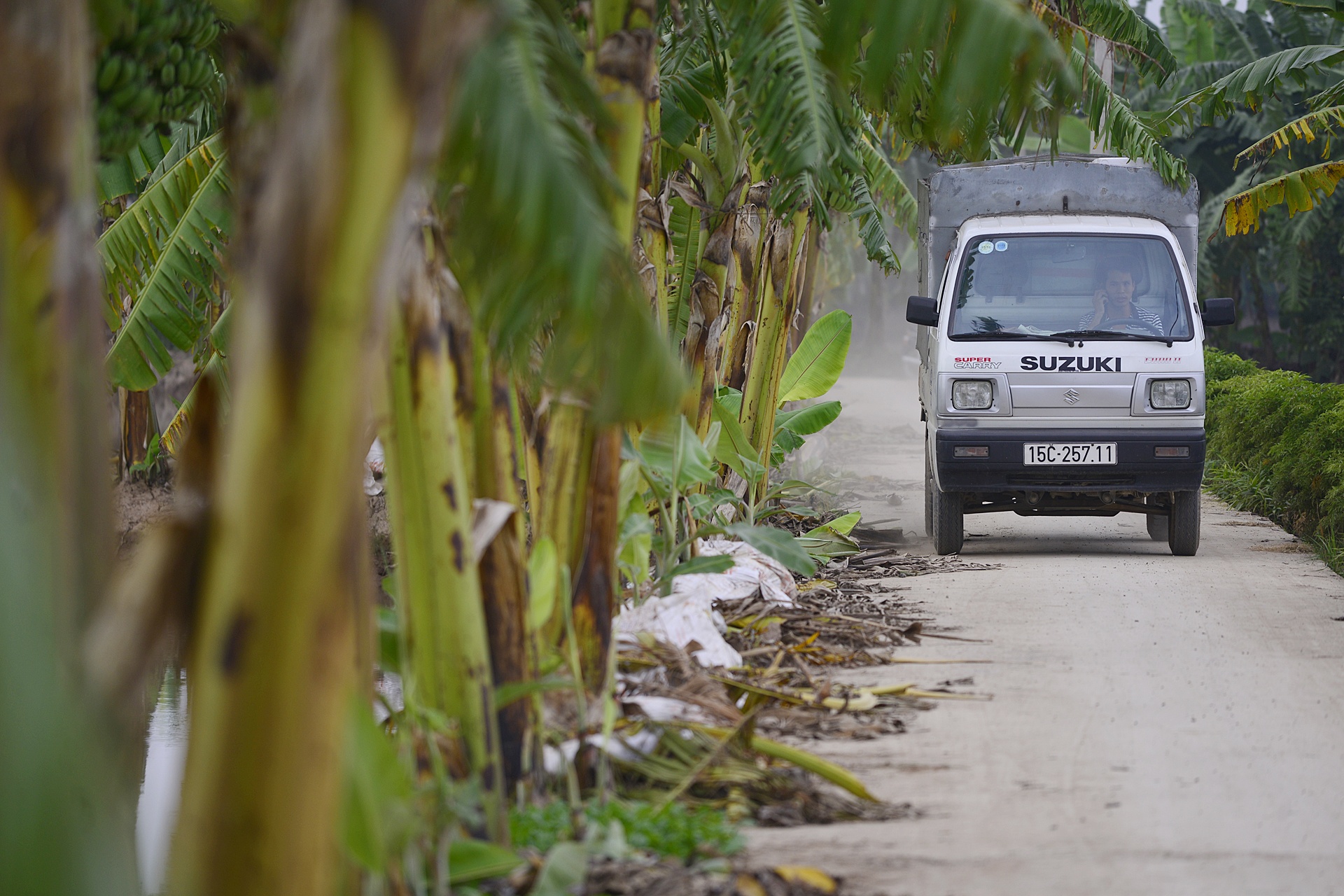 ruoi Tu Ky Hai Duong anh 11