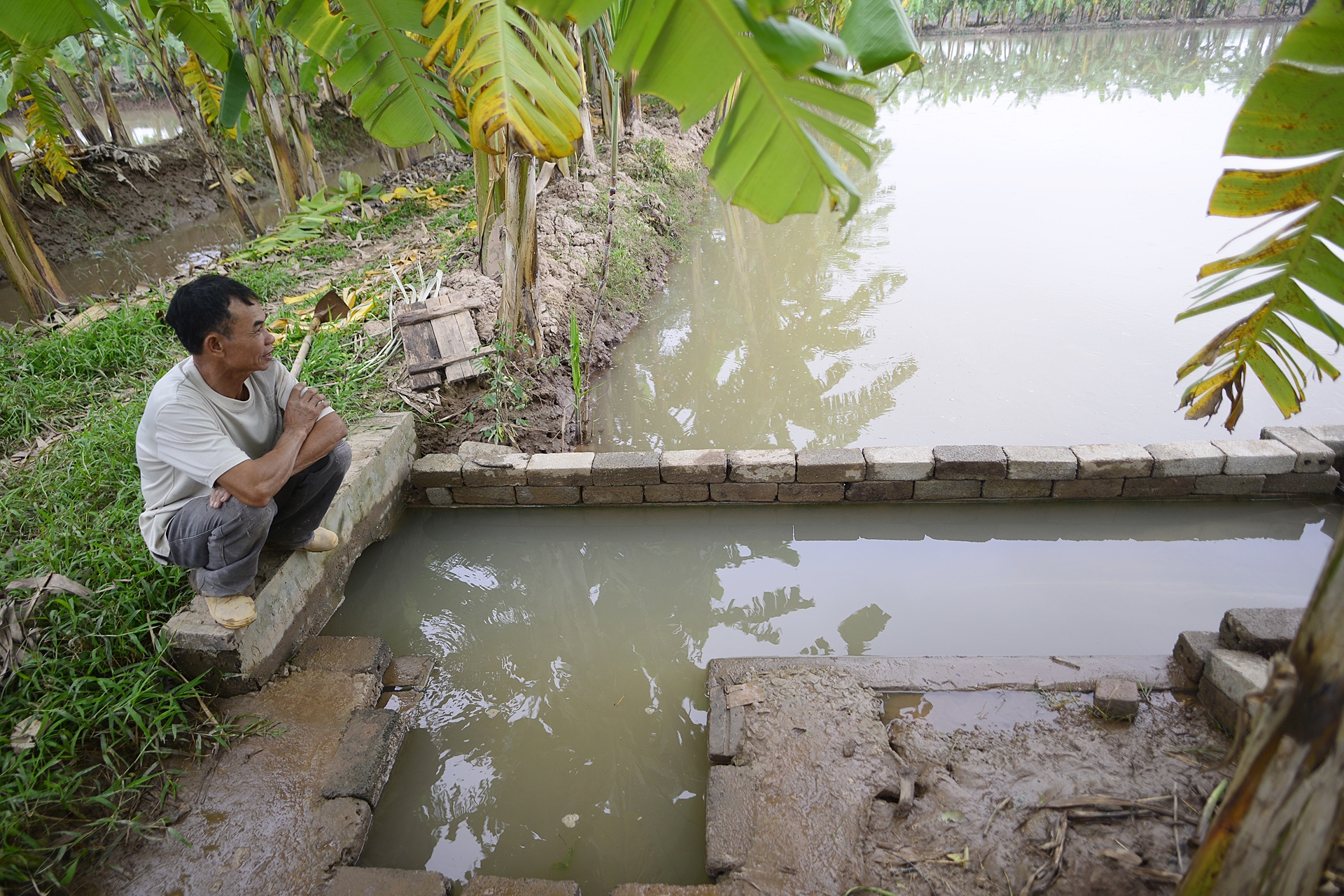 ruoi Tu Ky Hai Duong anh 2