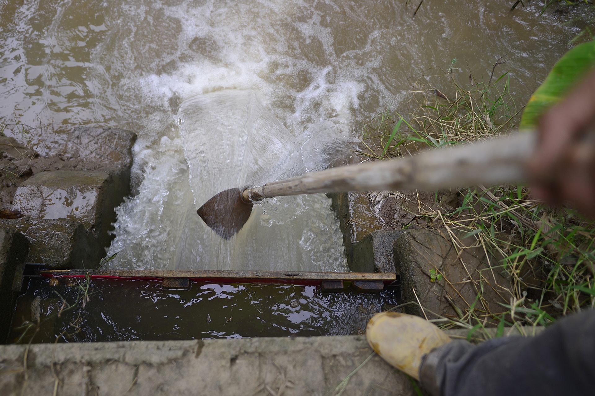 ruoi Tu Ky Hai Duong anh 4