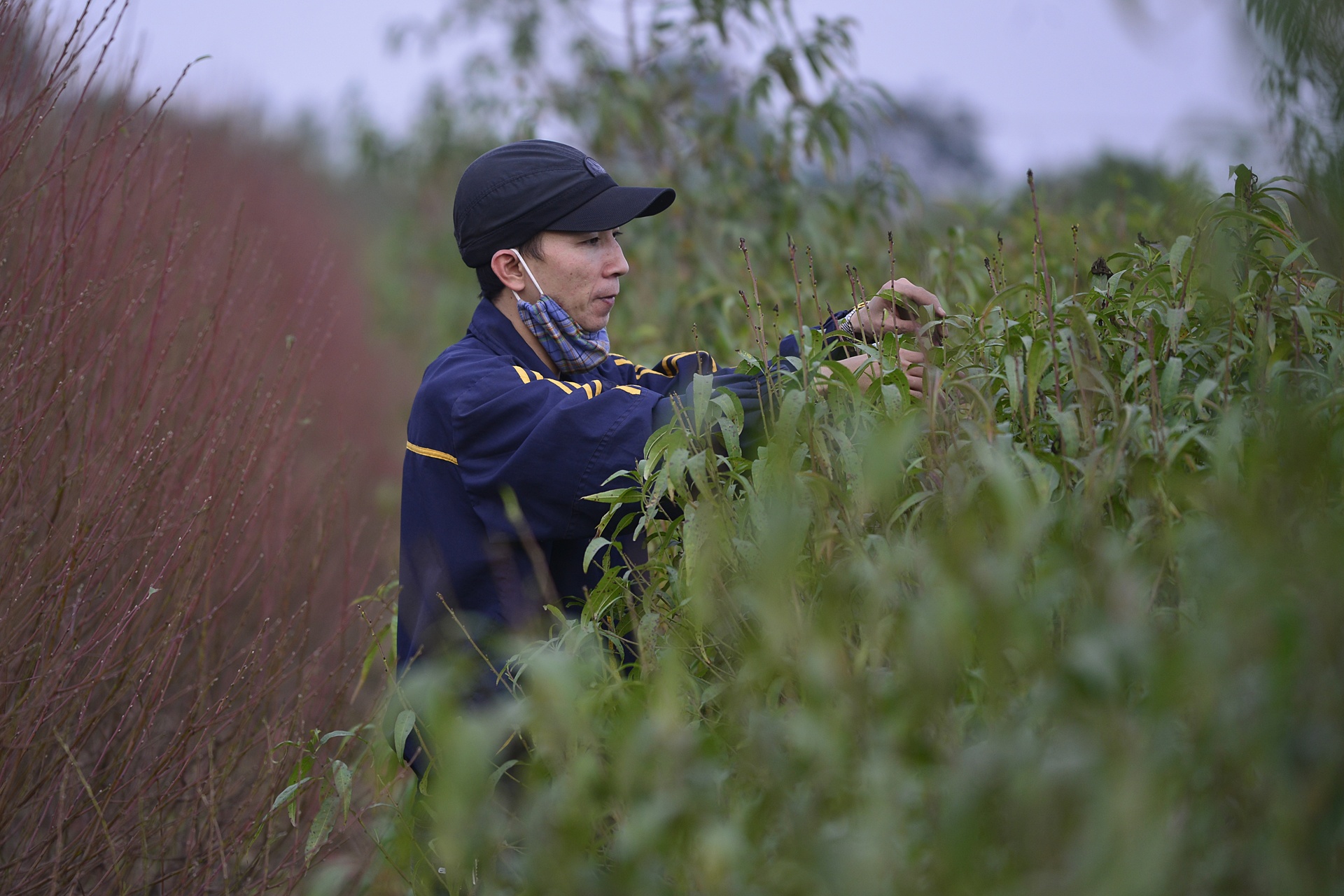 dao no tren vuon hoa Nhat Tan anh 3