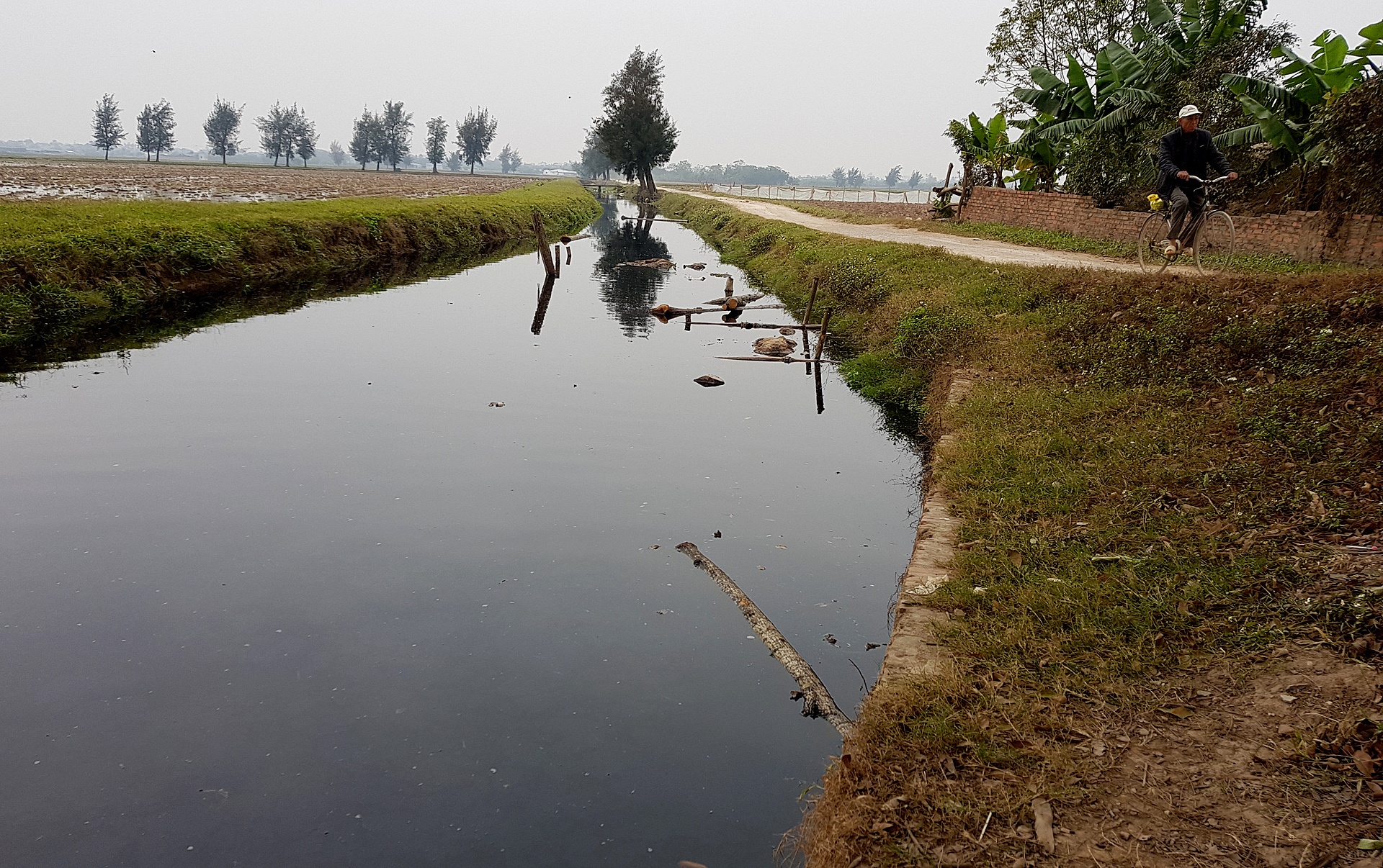 canh dong nhuom mau den cua nuoc song Day anh 10