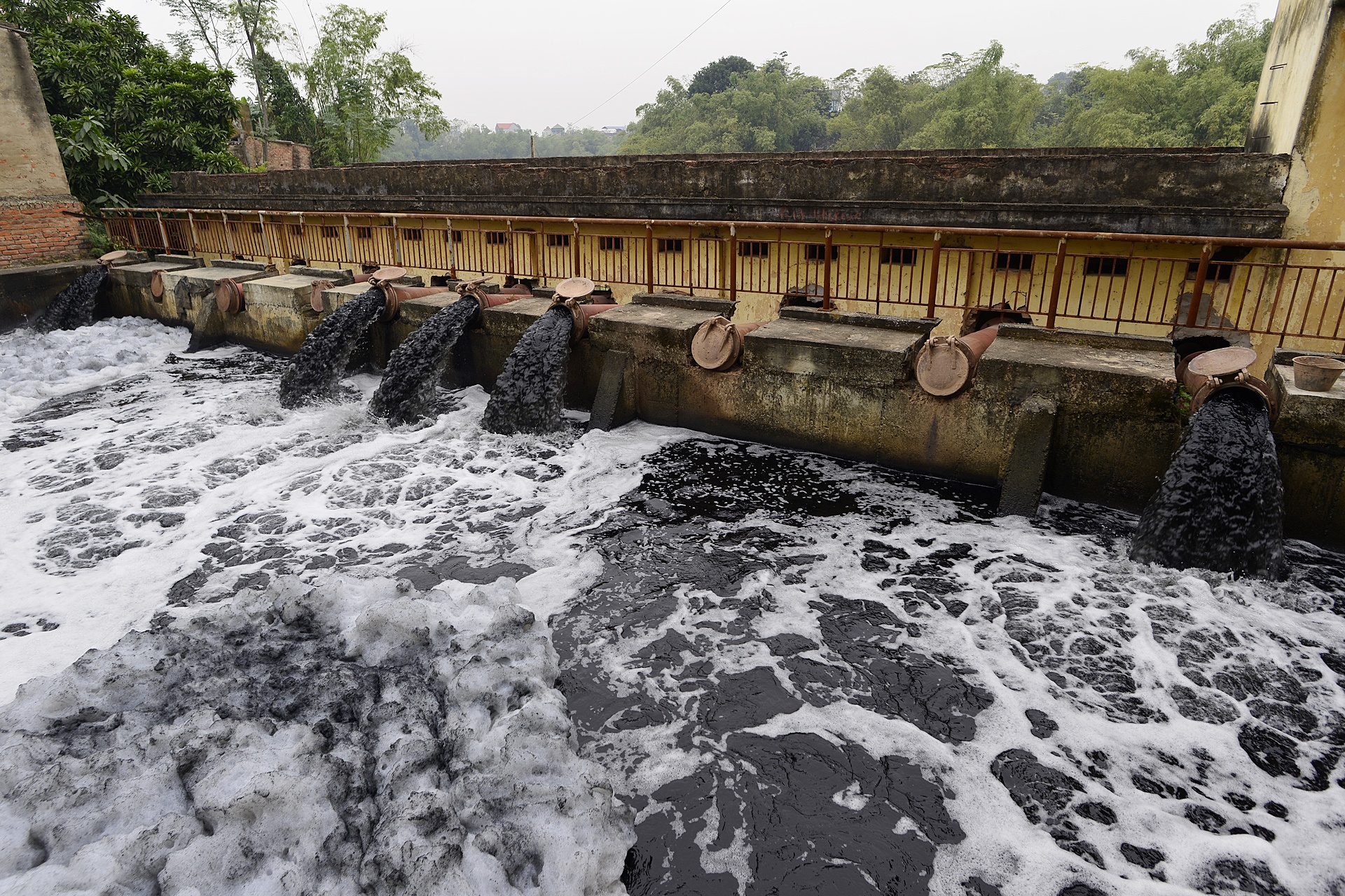 canh dong nhuom mau den cua nuoc song Day anh 1