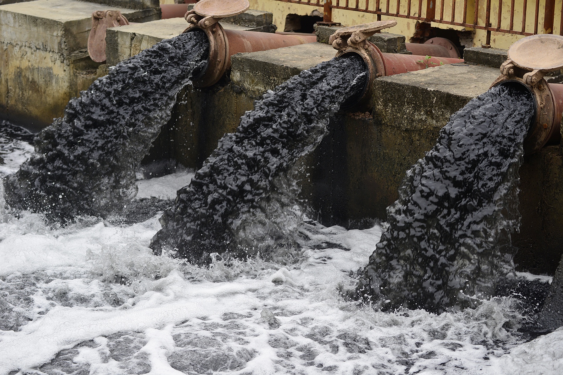 Can canh dong nuoc den kit chay ra cac canh dong hinh anh