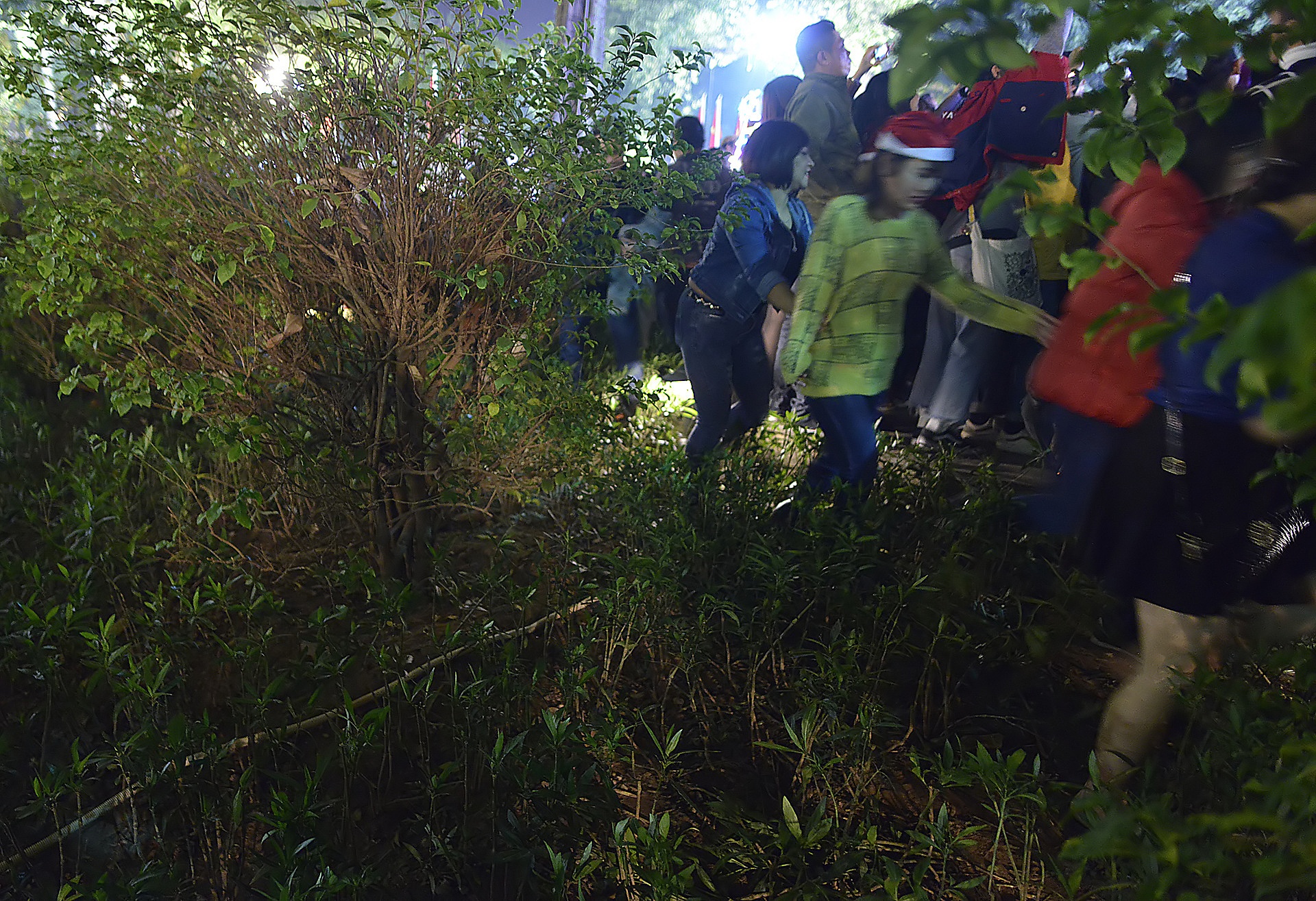 treo cay xem ca nhac dem Giang sinh anh 4