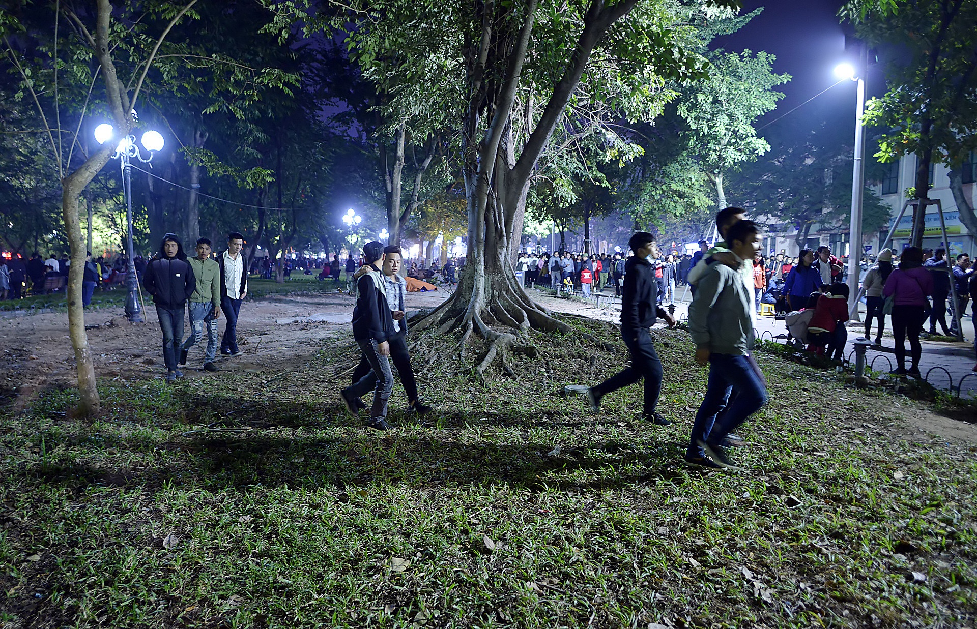 treo cay xem ca nhac dem Giang sinh anh 5