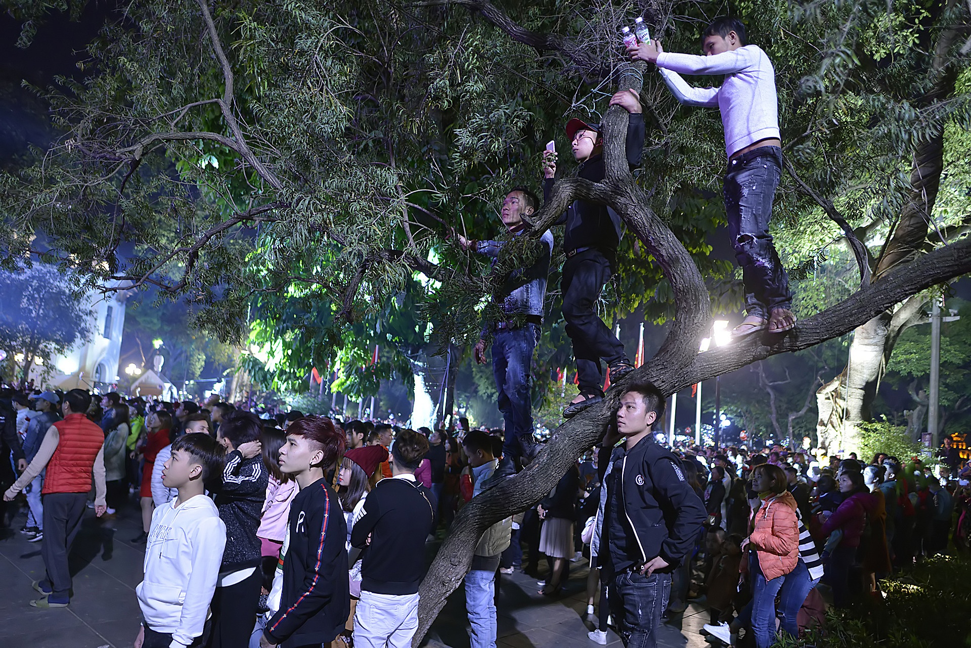 treo cay xem ca nhac dem Giang sinh anh 6