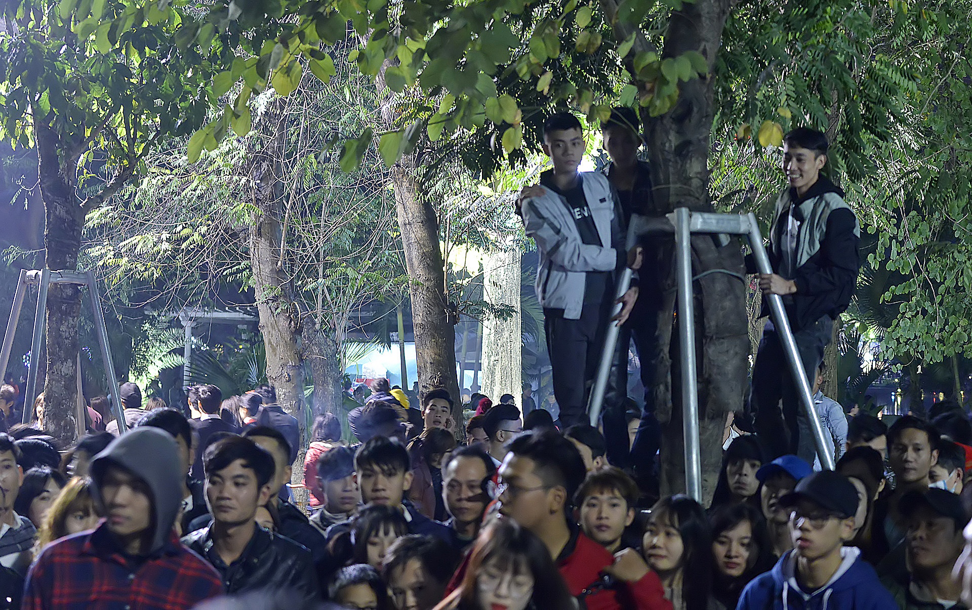 treo cay xem ca nhac dem Giang sinh anh 7