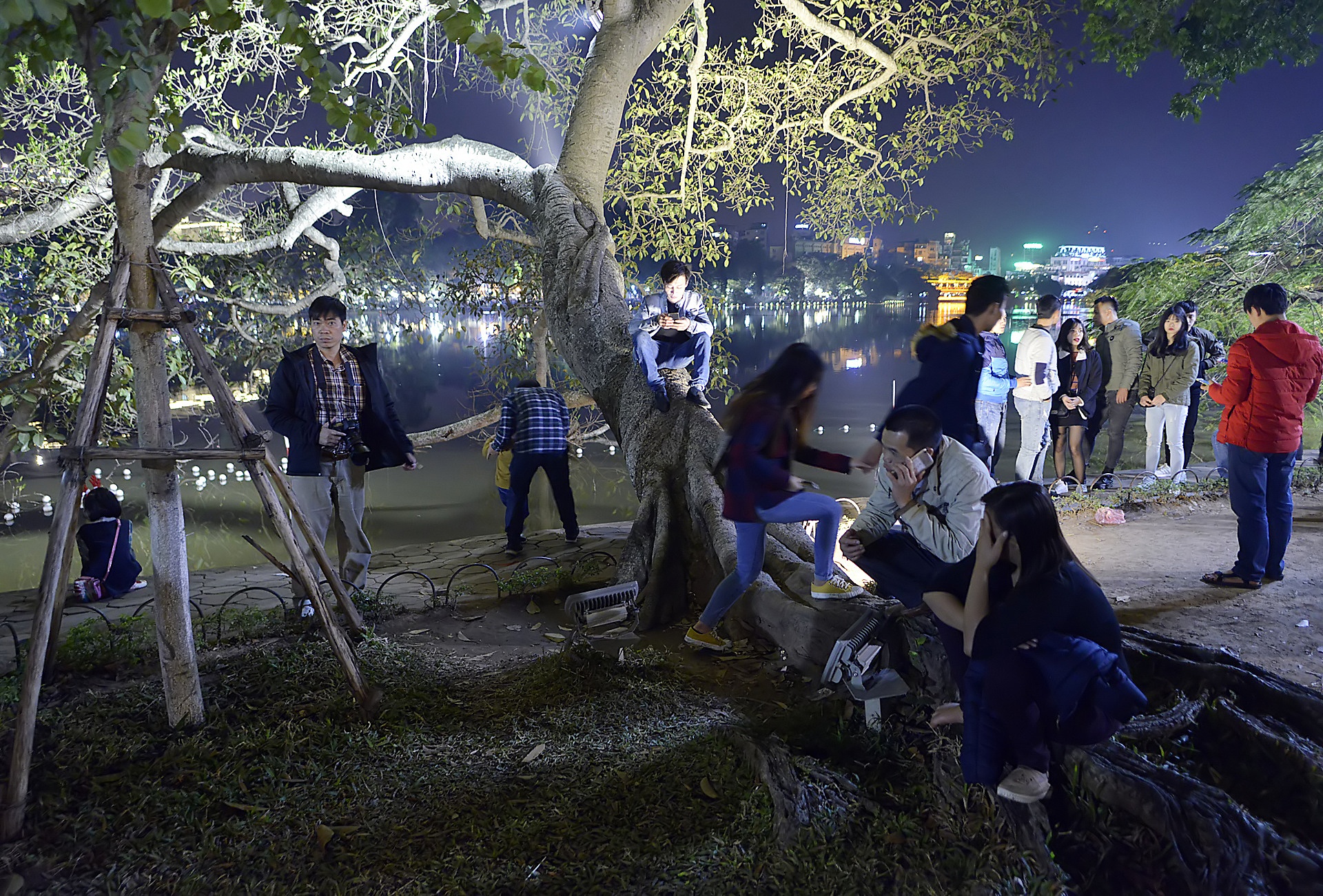 treo cay xem ca nhac dem Giang sinh anh 9