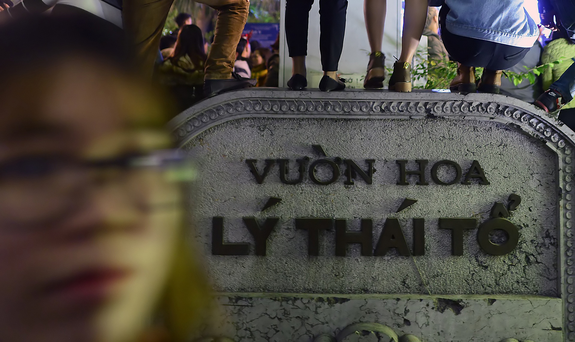 treo cay xem ca nhac dem Giang sinh anh 10