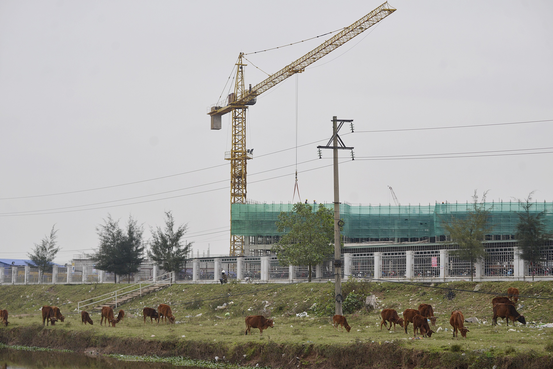 toan canh du an nhiet dien Thai Binh 2 anh 4