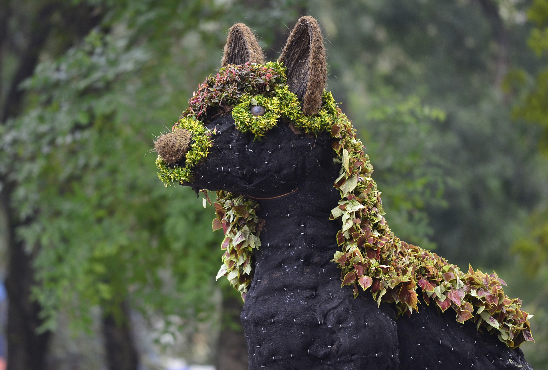 12 con giap xuat hien tai cong vien Thong Nhat anh 9