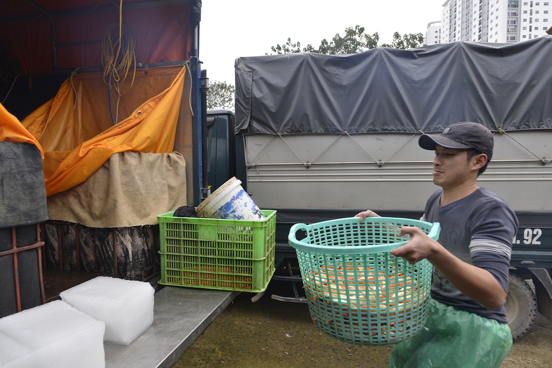 cho ca lon nhat Ha Noi tap nap dip 23 thang Chap anh 2