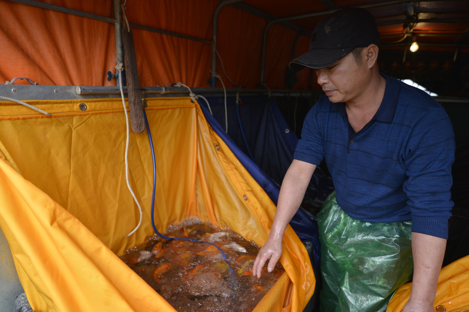 cho ca lon nhat Ha Noi tap nap dip 23 thang Chap anh 8