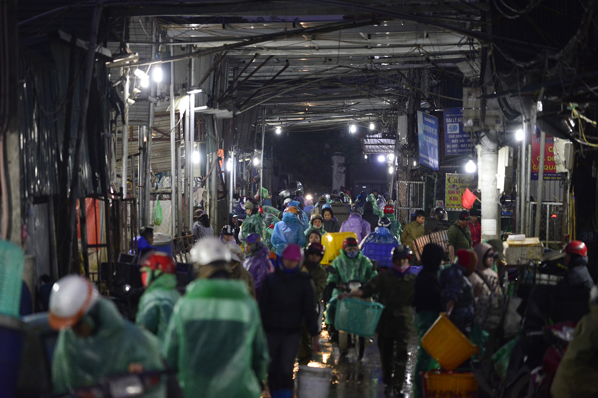 cho ca lon nhat Ha Noi tap nap dip 23 thang Chap anh 1