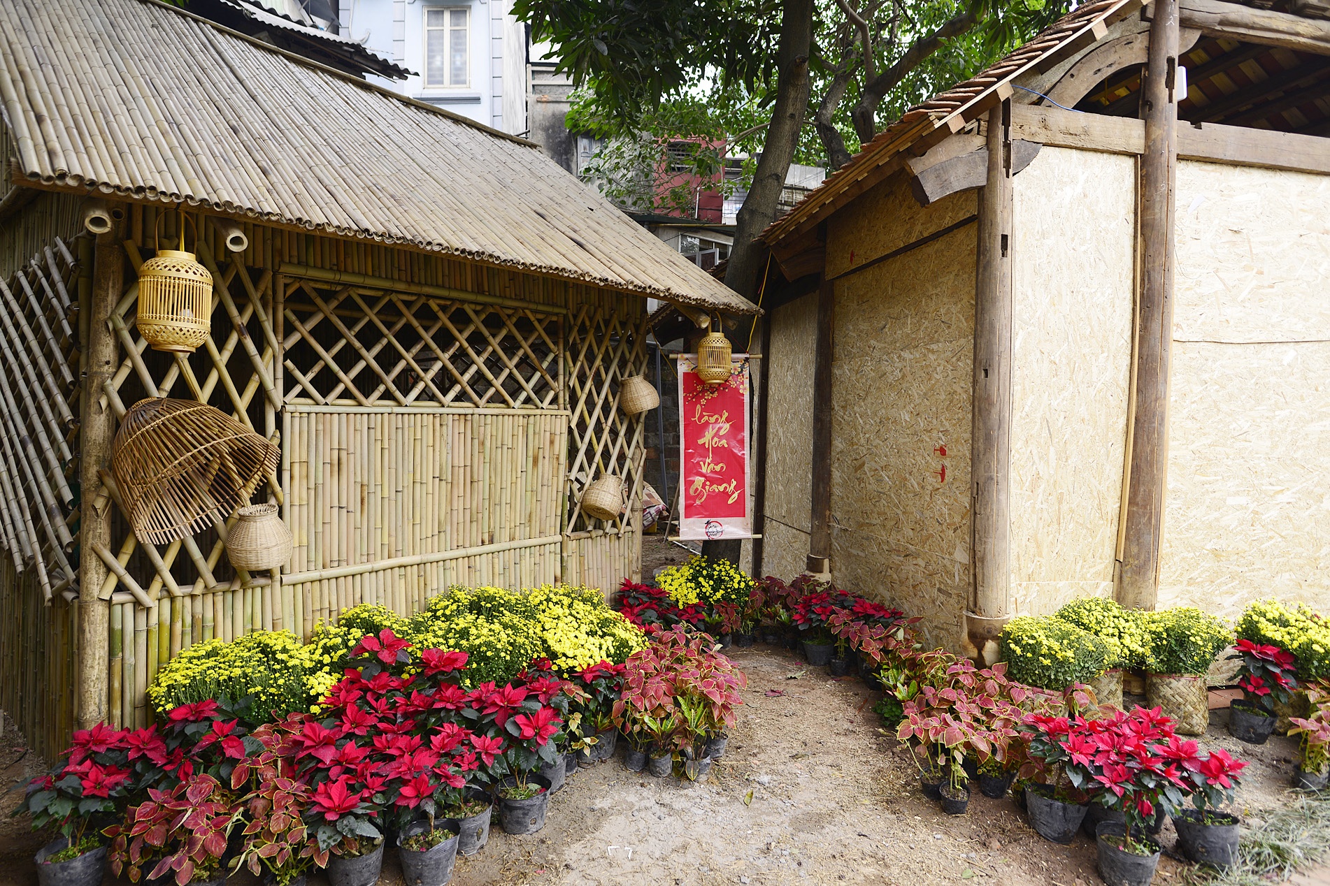 khong gian que Viet tai hoi cho chu Xuan 2018 anh 9