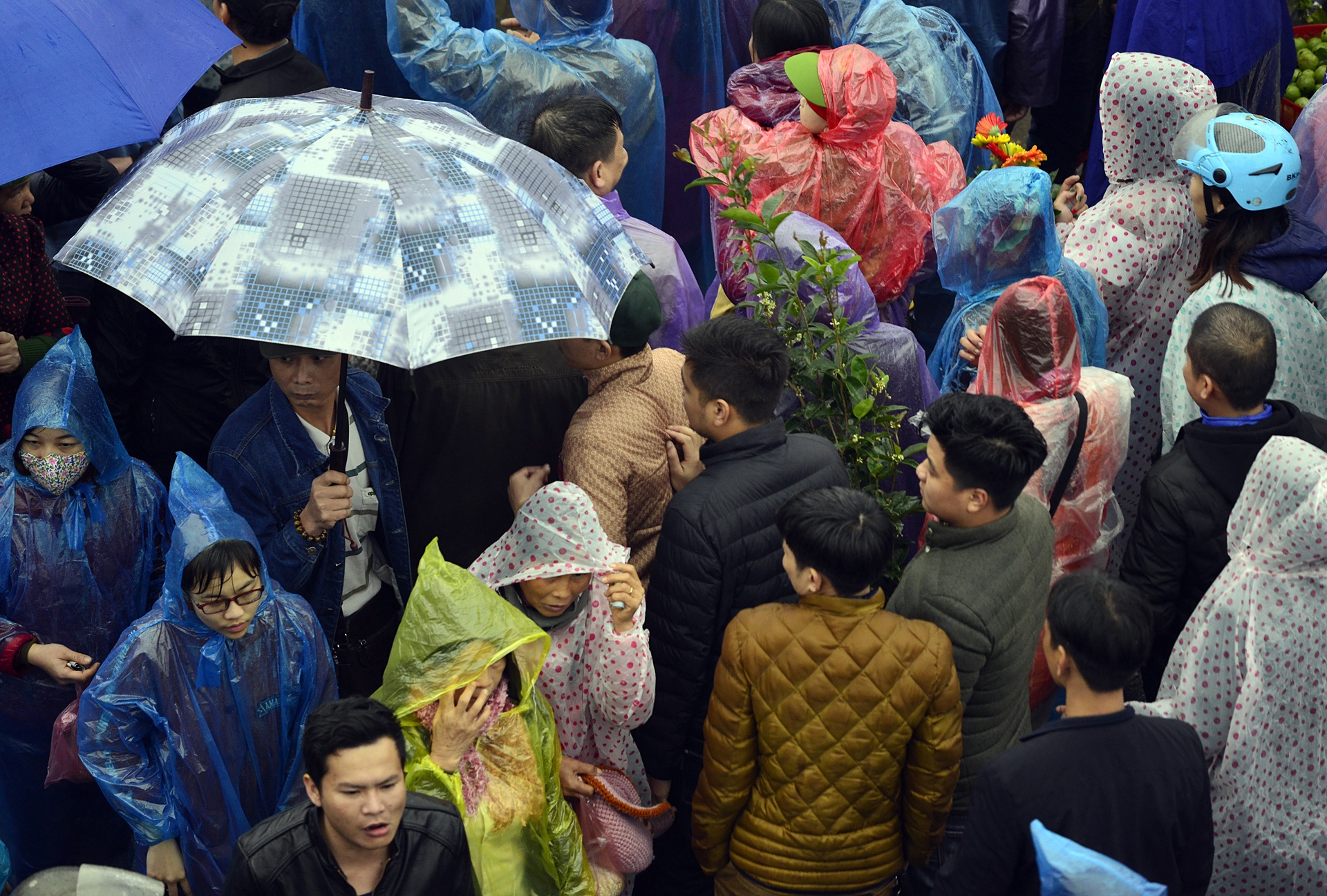 doi mua chen chuc mua cay tai cho Vieng anh 14