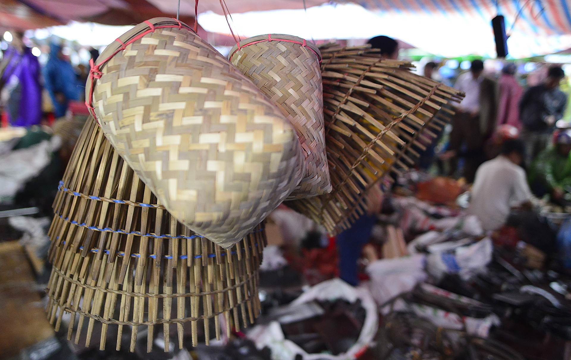 doi mua chen chuc mua cay tai cho Vieng anh 16