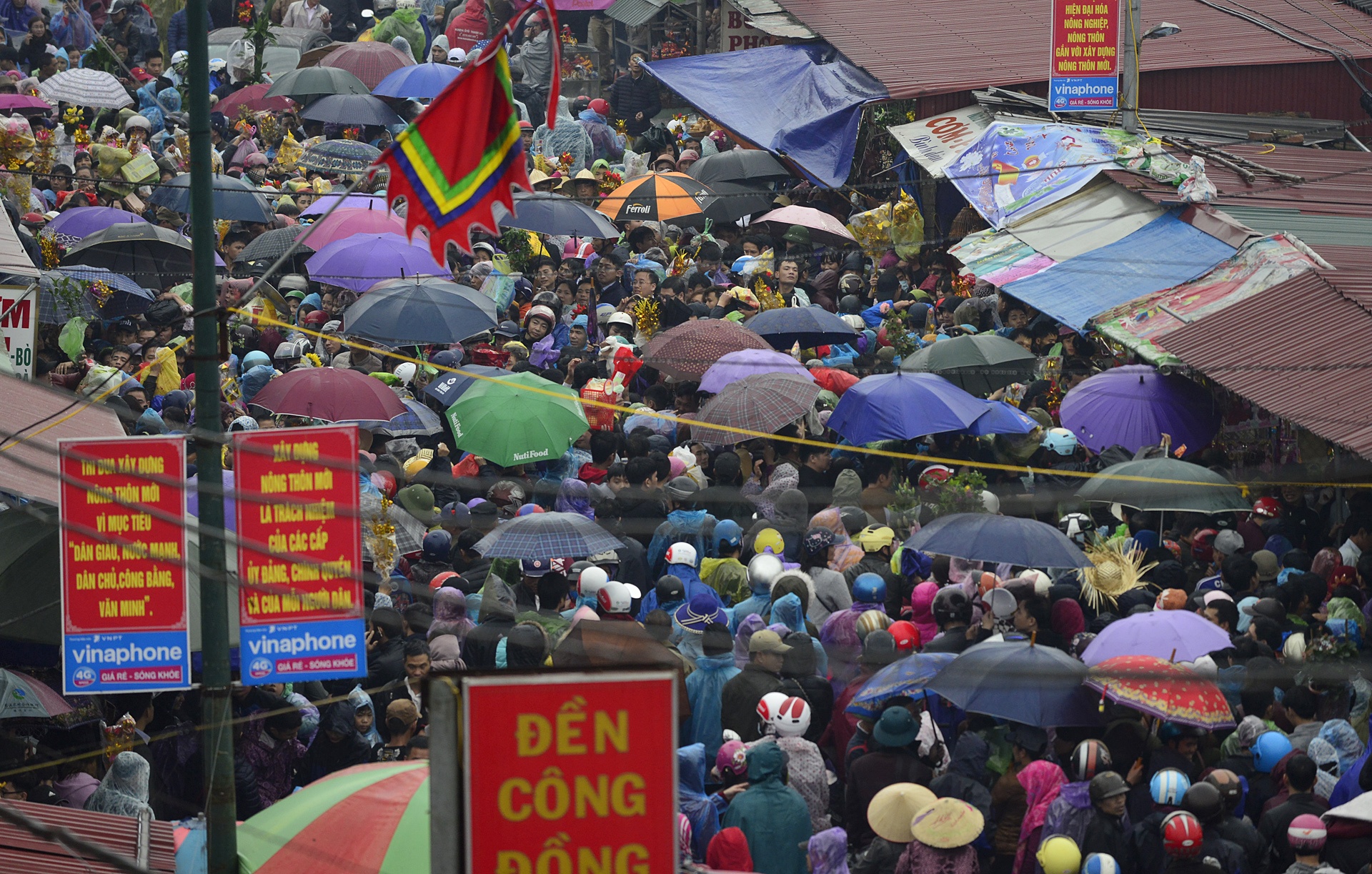doi mua chen chuc mua cay tai cho Vieng anh 2
