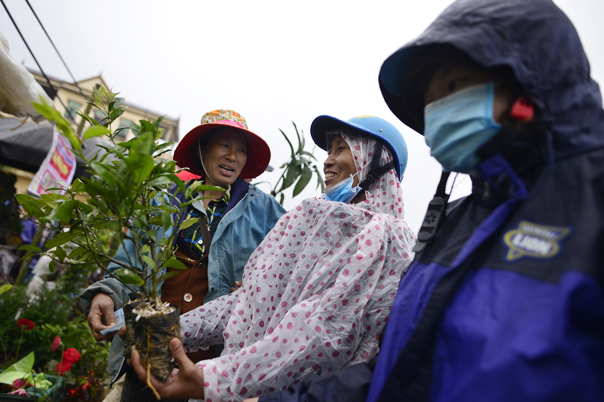 doi mua chen chuc mua cay tai cho Vieng anh 7