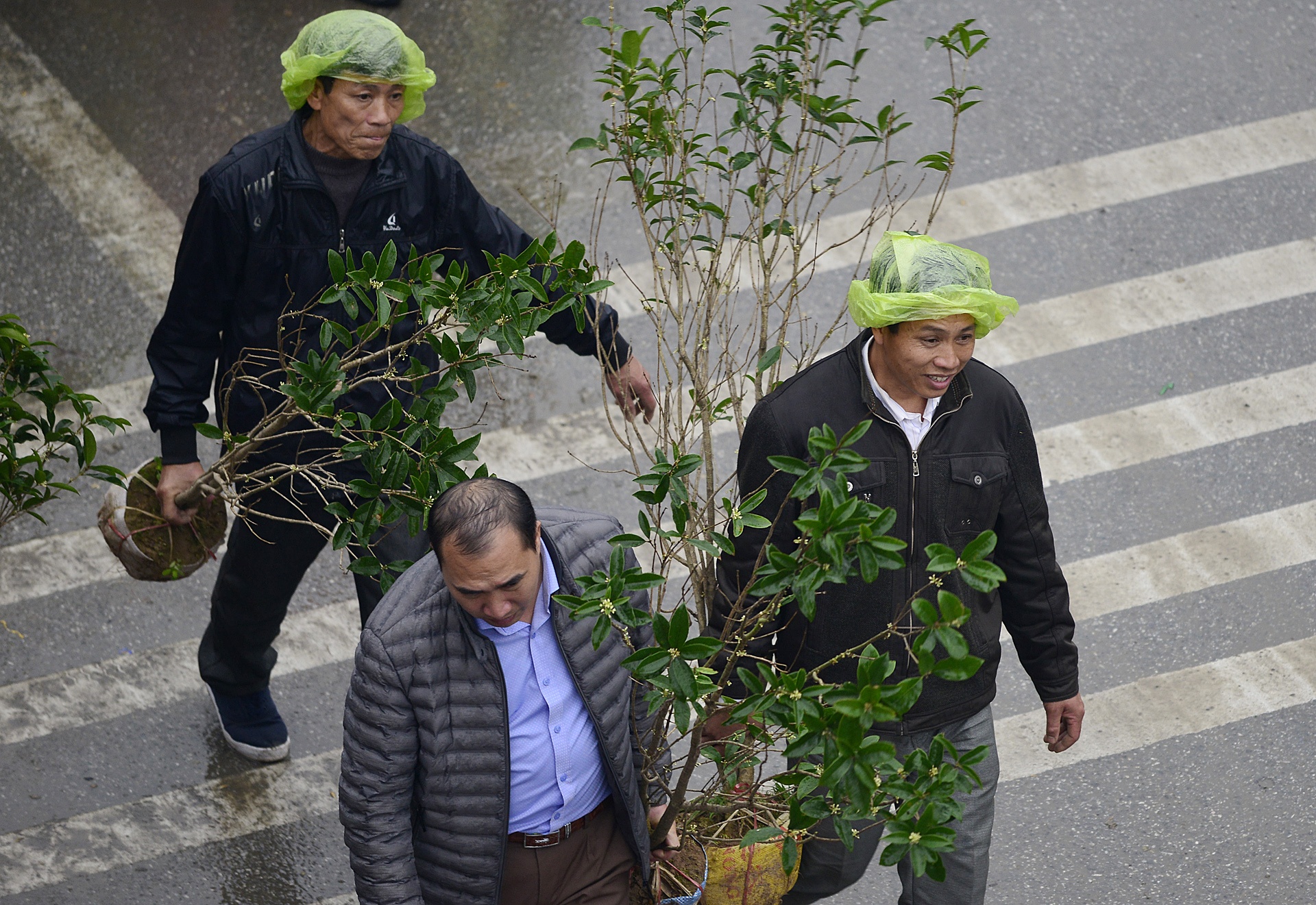 doi mua chen chuc mua cay tai cho Vieng anh 8