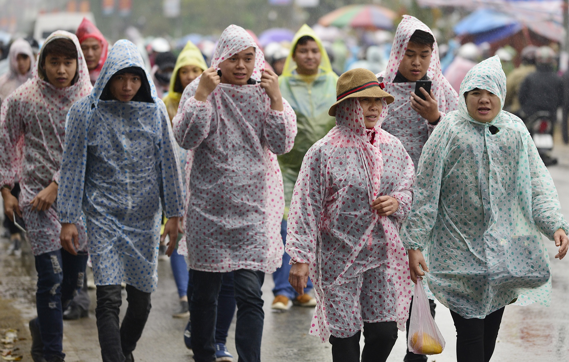 doi mua chen chuc mua cay tai cho Vieng anh 9