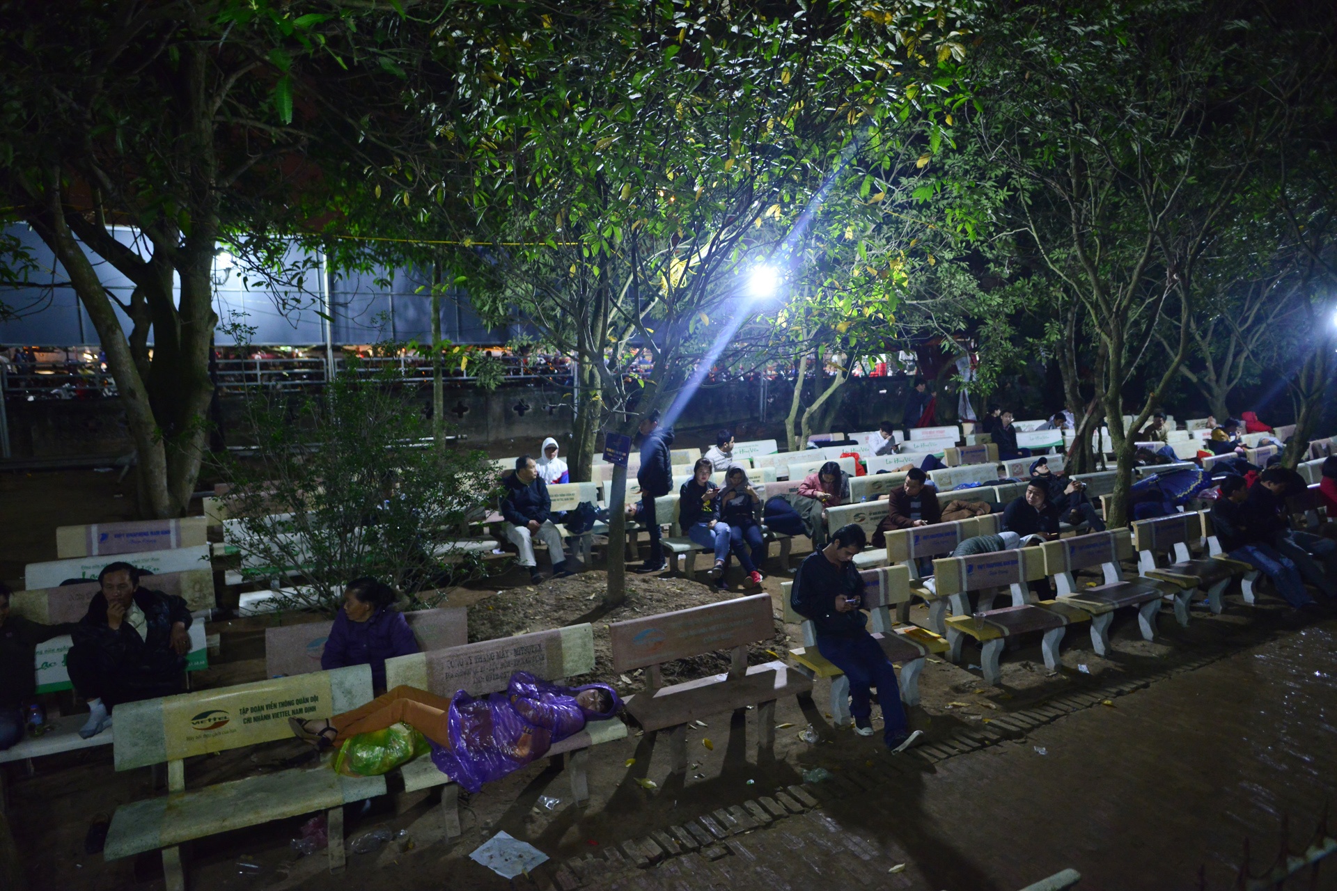 ngu va vat cho mua an den Tran anh 1