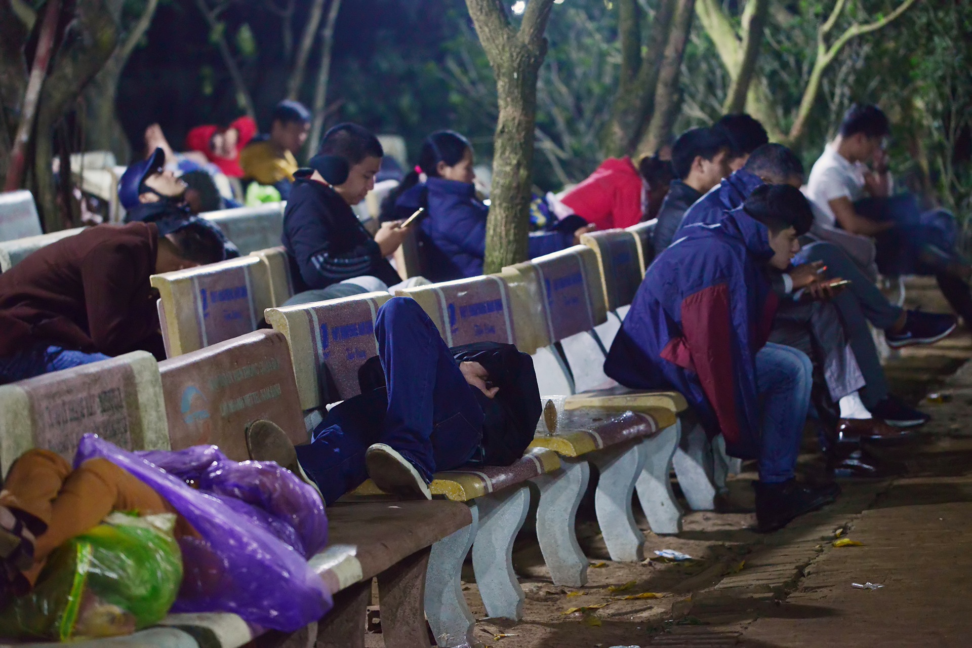 ngu va vat cho mua an den Tran anh 4