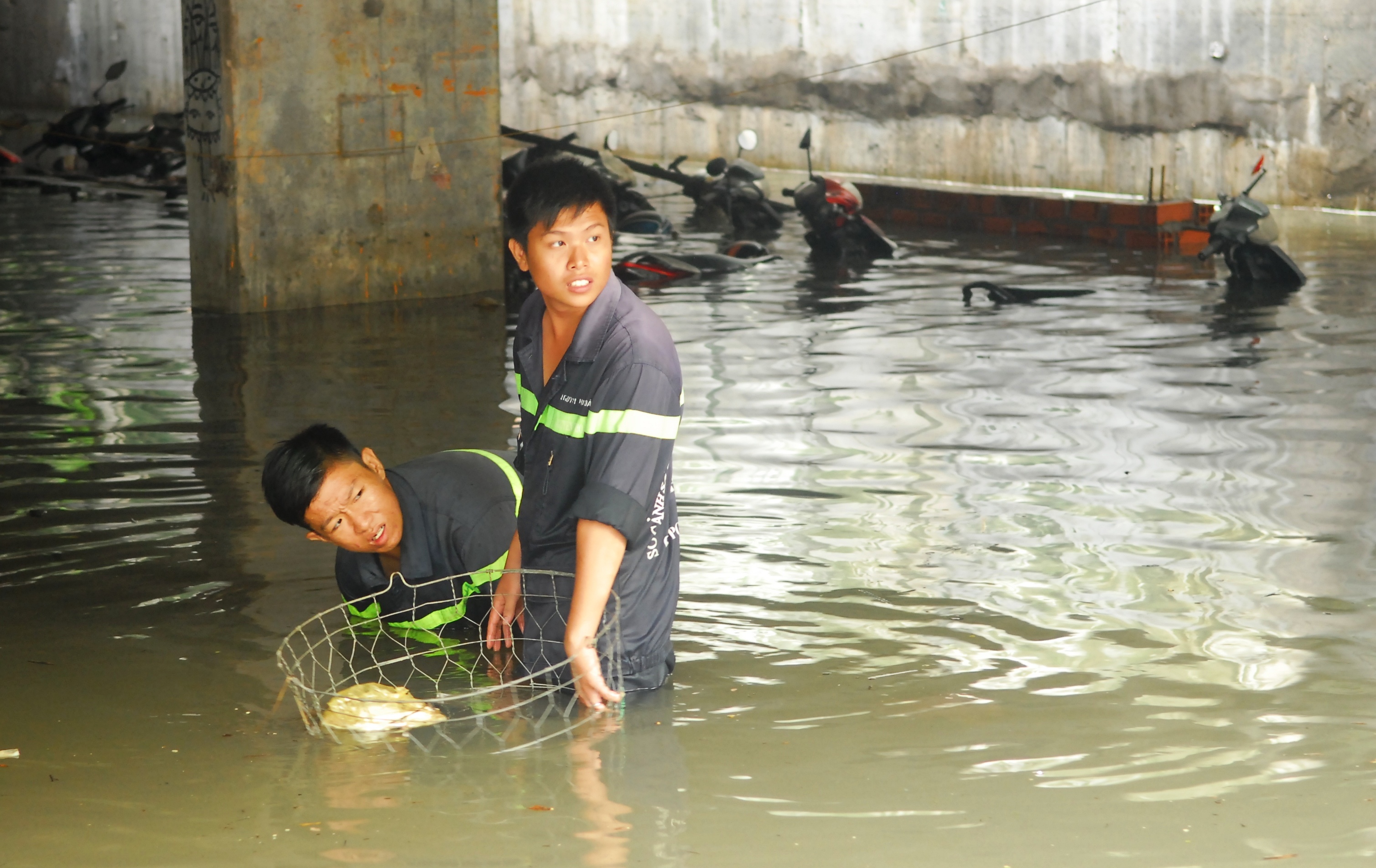 ngap xe,  nhan chim,  ngam nuoc anh 3