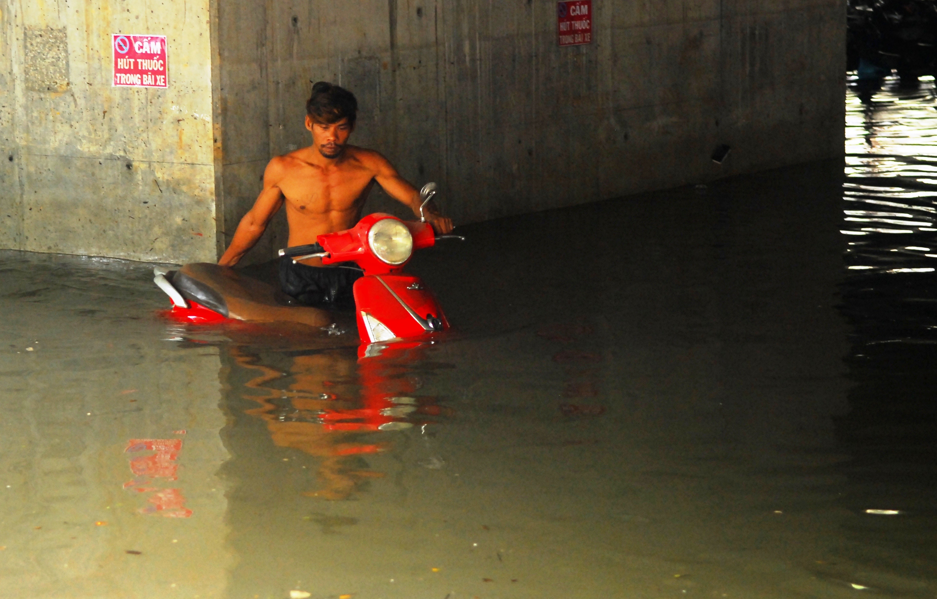 ngap xe,  nhan chim,  ngam nuoc anh 2