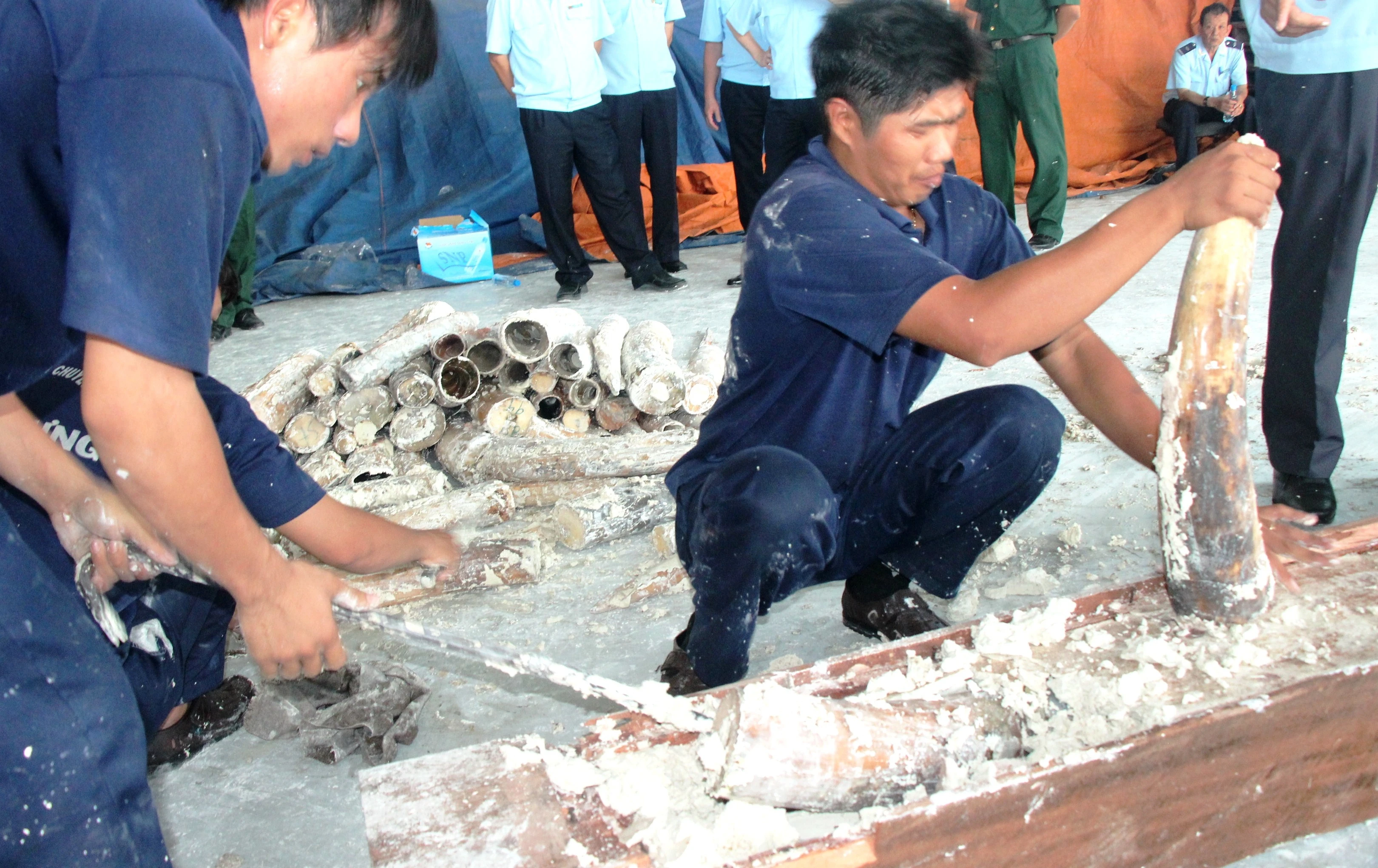 Bat lo nga voi hang chuc ty dong giau trong nhieu khuc go hinh anh