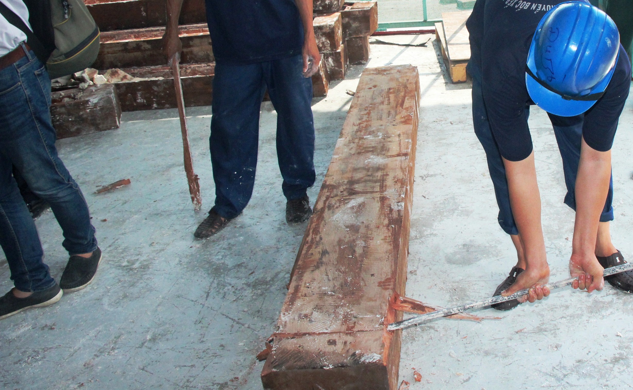 nga voi hang chuc ty giau trong go bi bat anh 2