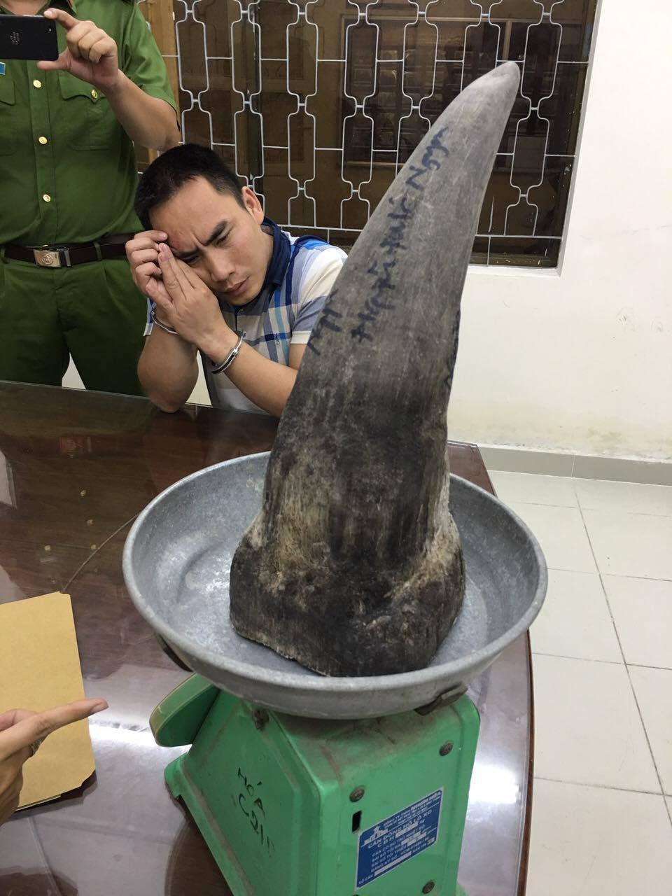 Sừng tê giác ảnh 1 Sung te giac anh 1
