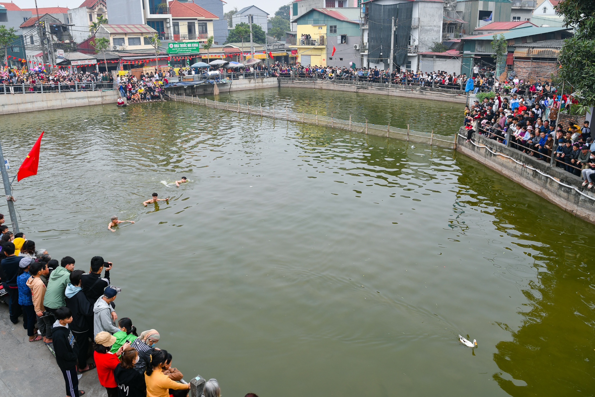 Le Hoi dau xuan anh 1