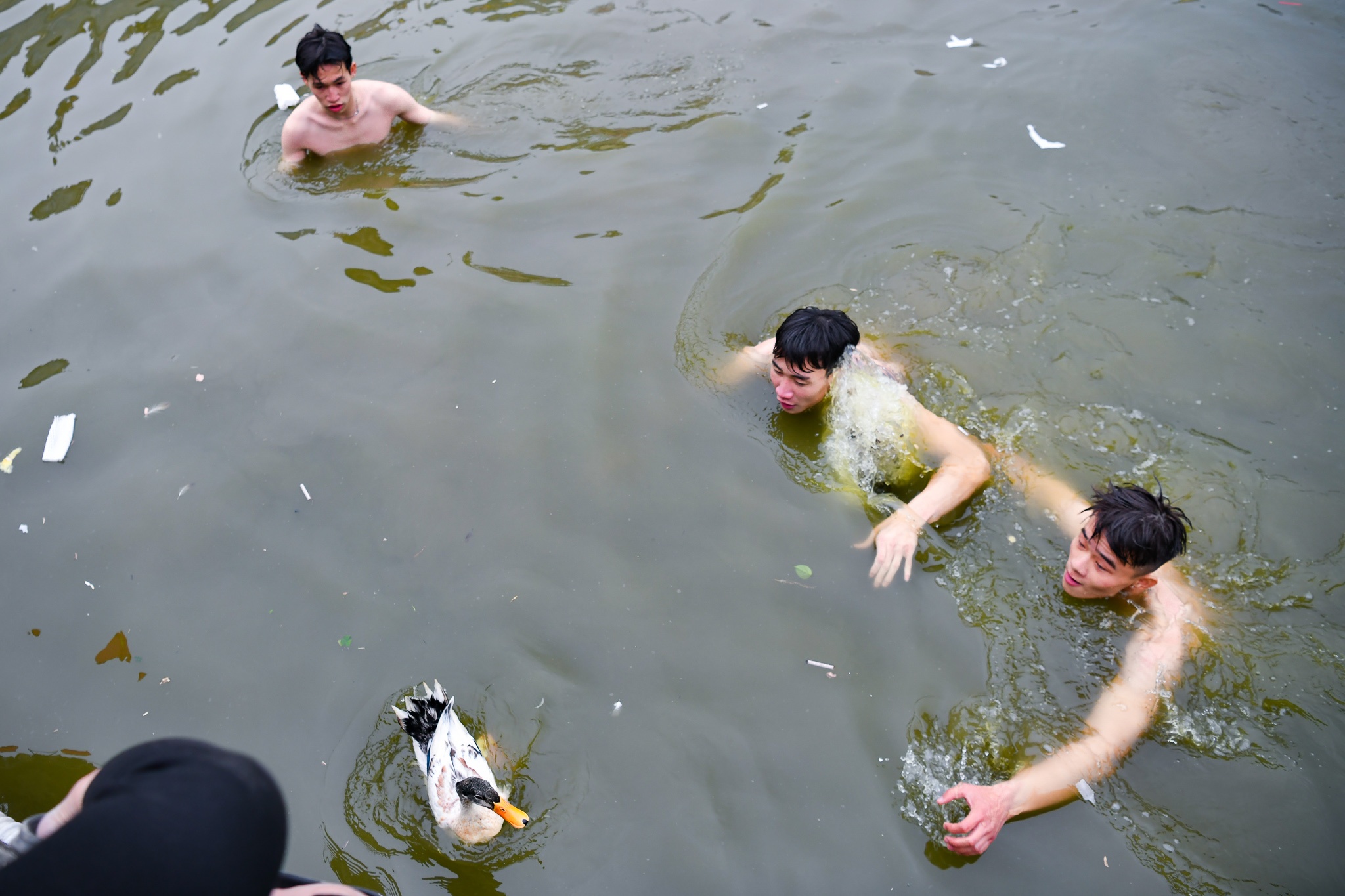 Le Hoi dau xuan anh 5