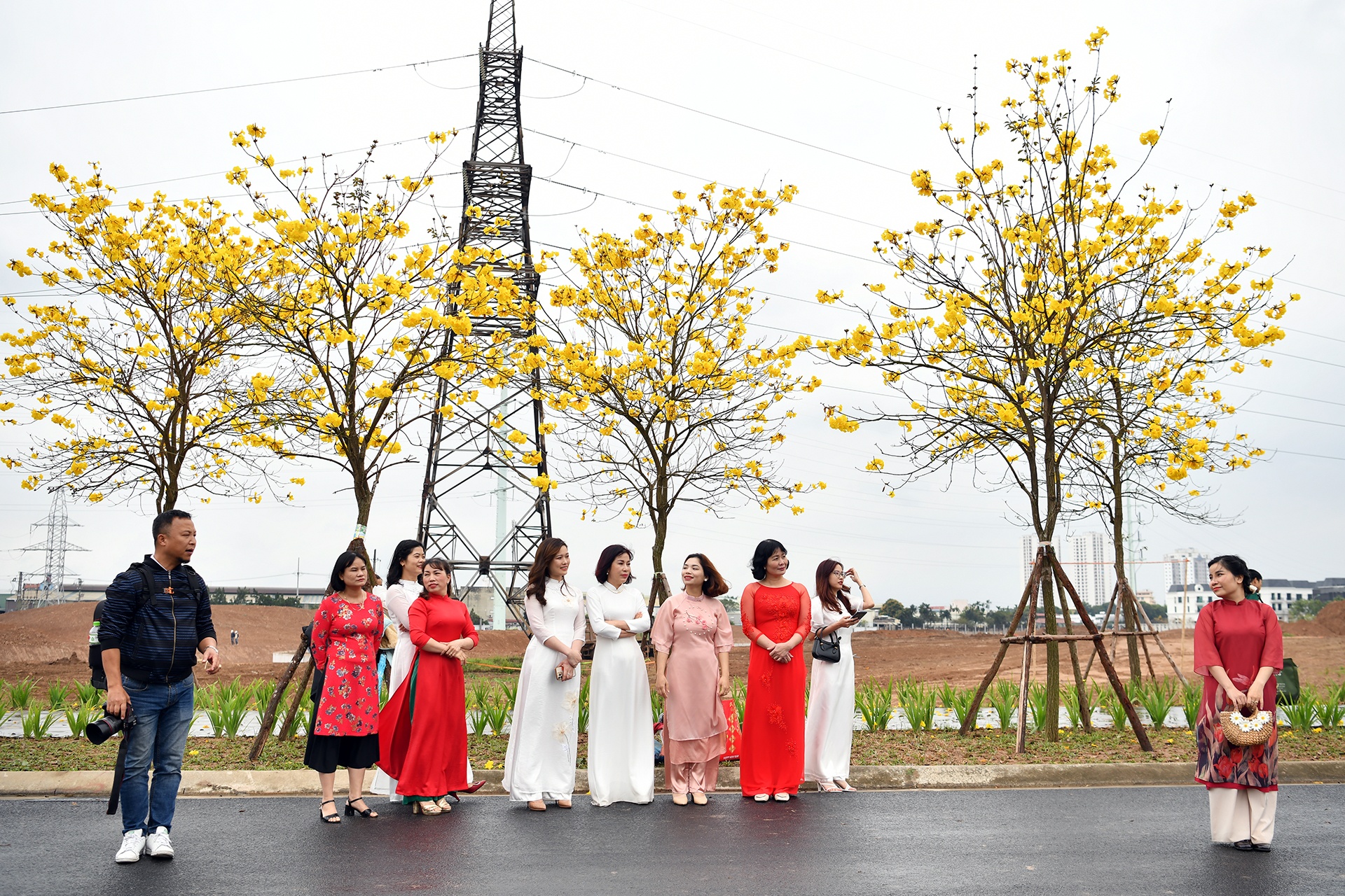 Con duong hoa phong linh anh 6