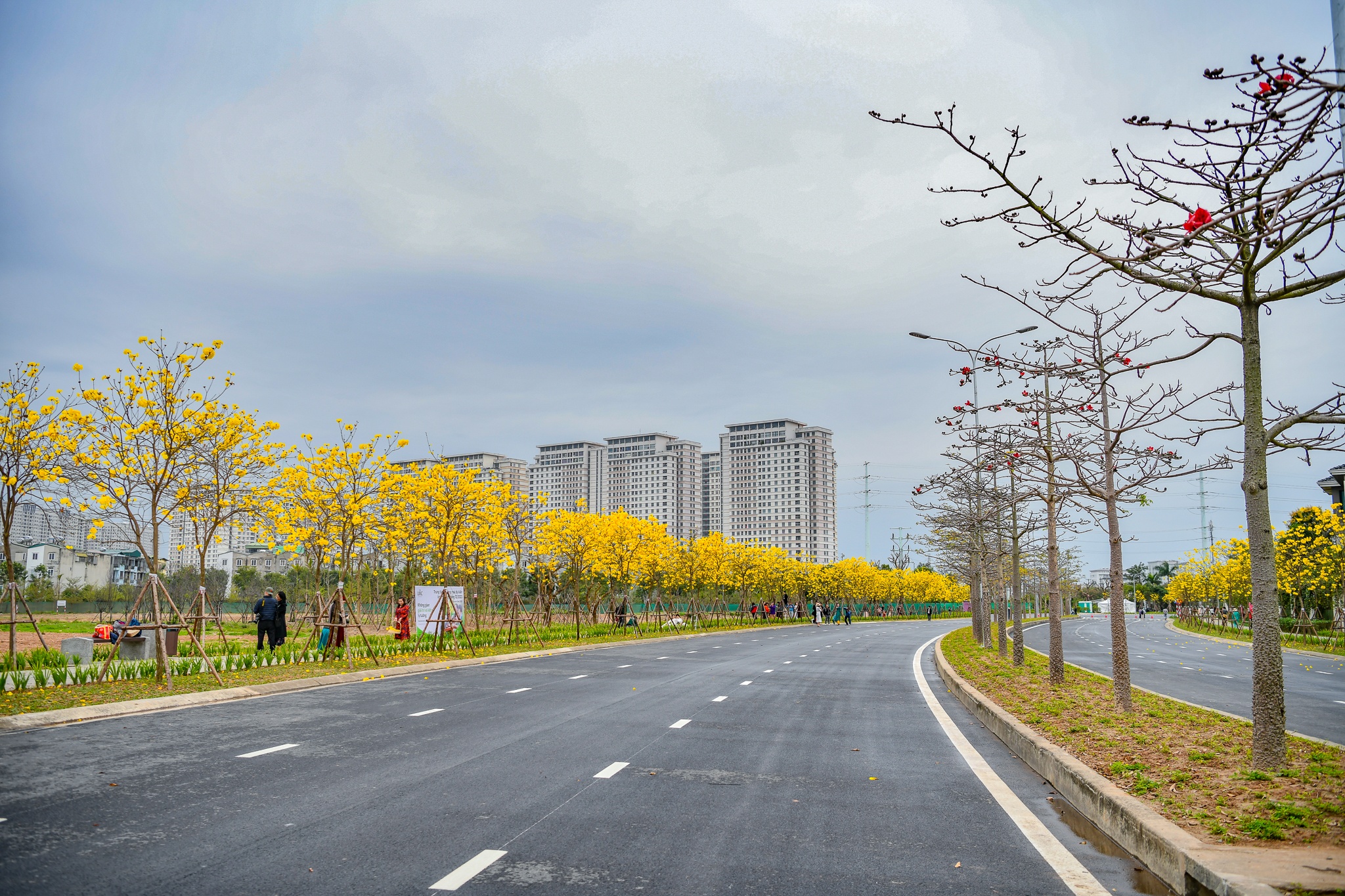 Con duong hoa phong linh anh 1