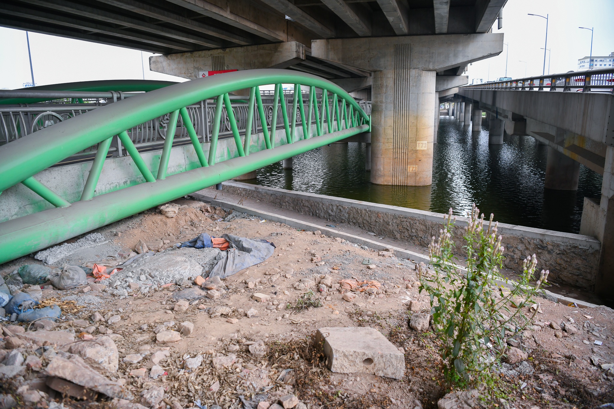 Cau vuot ho Linh Dam anh 8