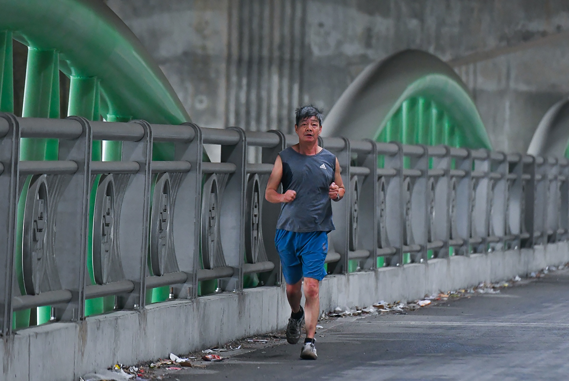 Cau vuot ho Linh Dam anh 9